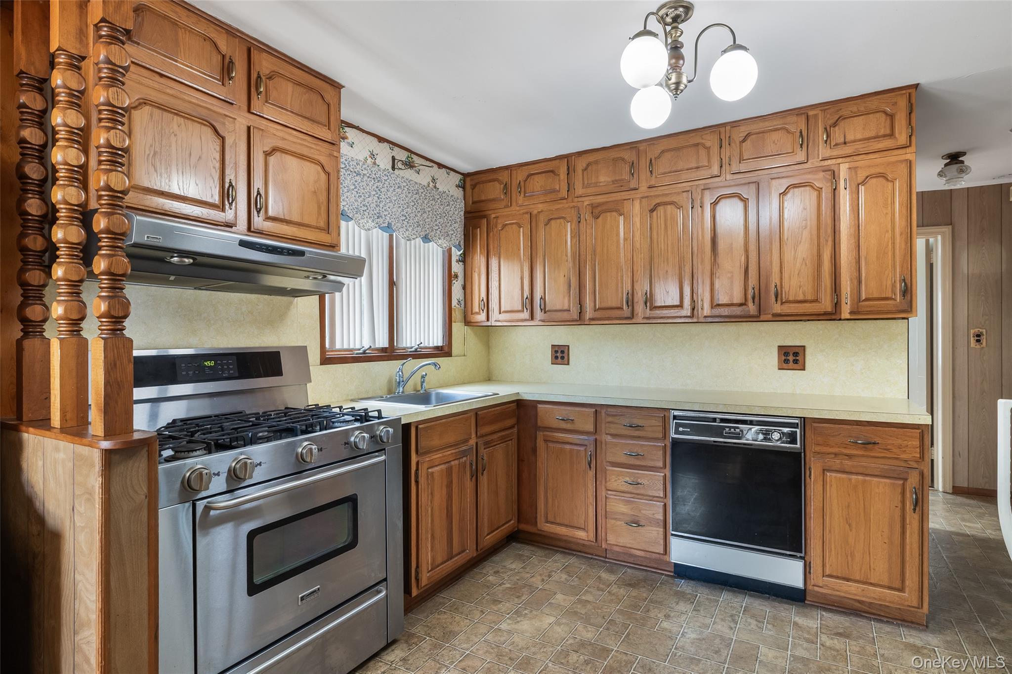 Single Family Woodbine Drive E Nassau County, NY 11801, MLS-1049130-10