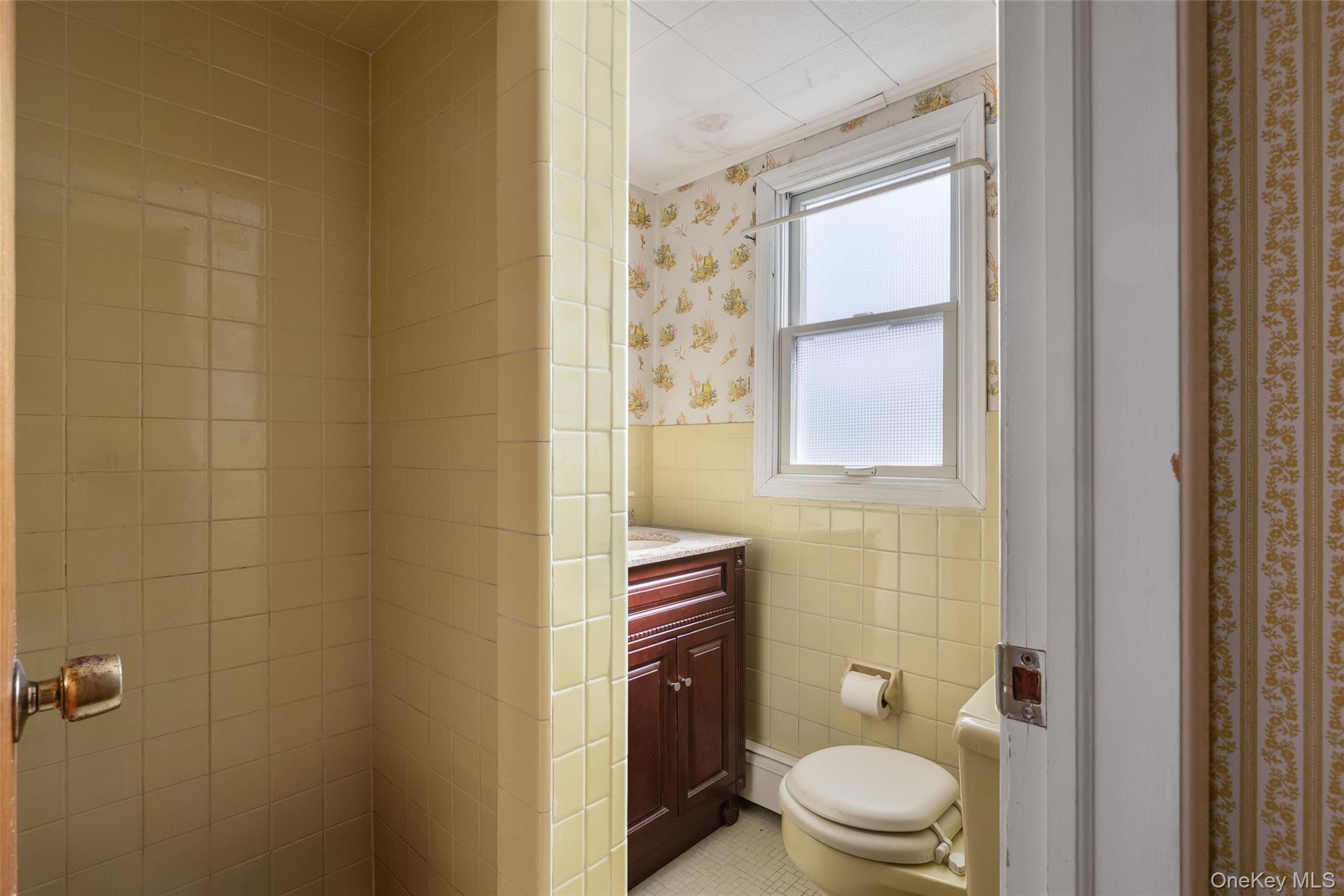 Single Family Woodbine Drive E Nassau County, NY 11801, MLS-1049130-18