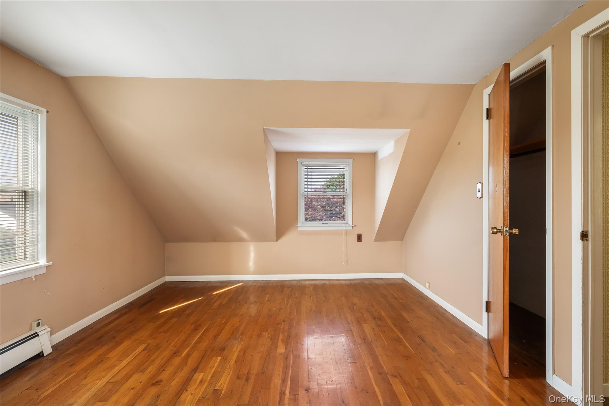 Single Family Woodbine Drive E Nassau County, NY 11801, MLS-1049130-19