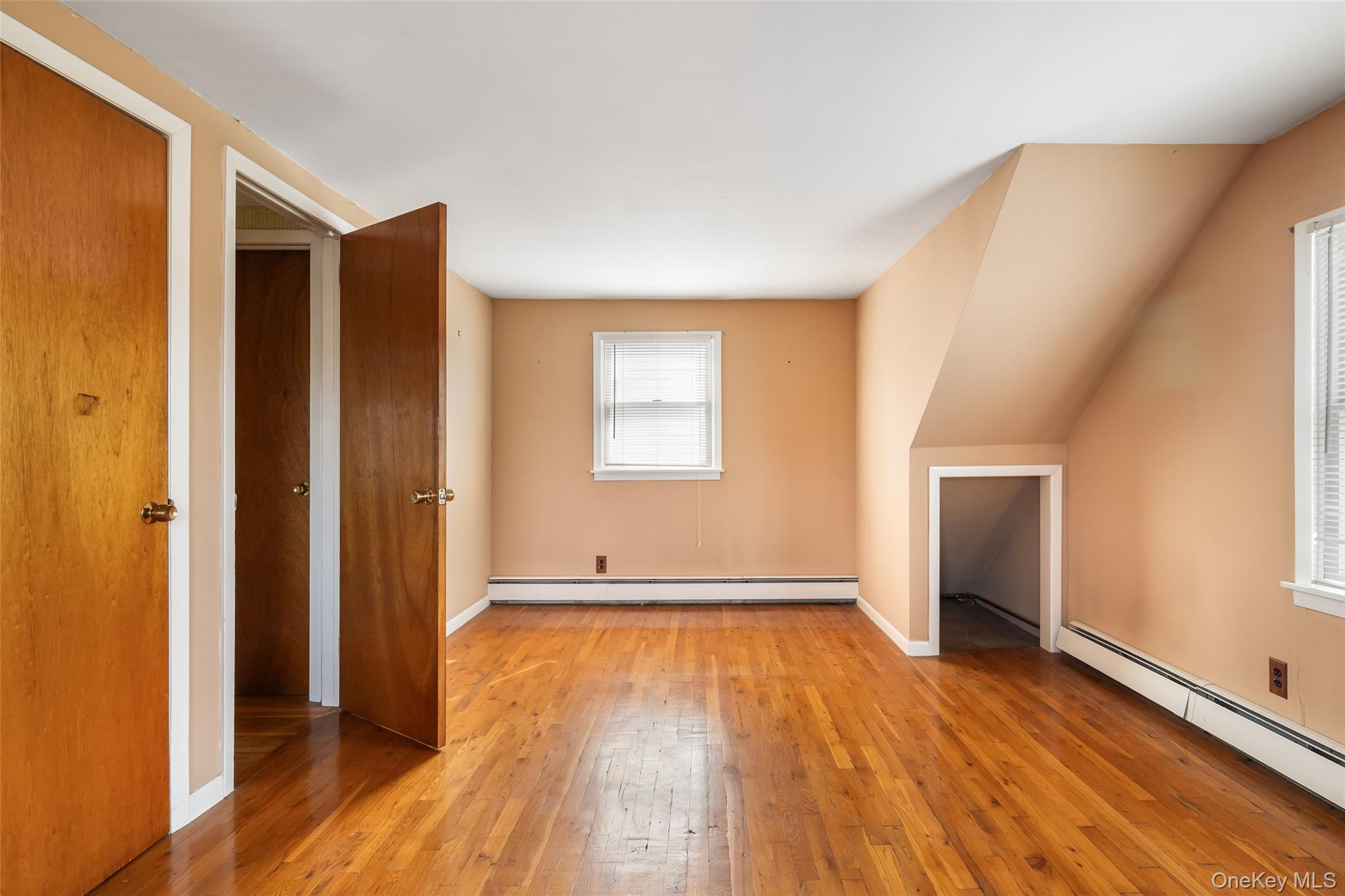 Single Family Woodbine Drive E Nassau County, NY 11801, MLS-1049130-20
