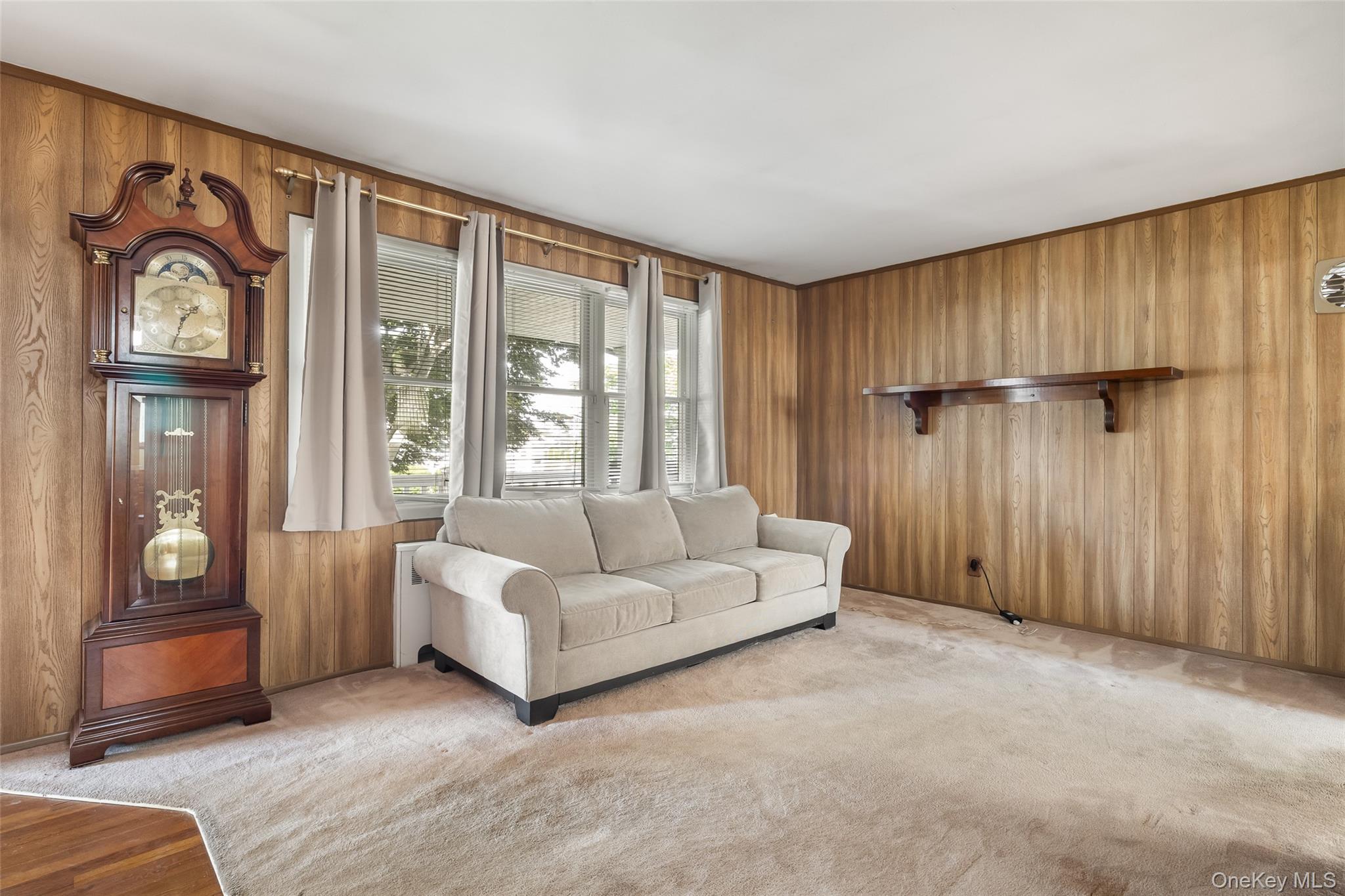 Single Family Woodbine Drive E Nassau County, NY 11801, MLS-1049130-7