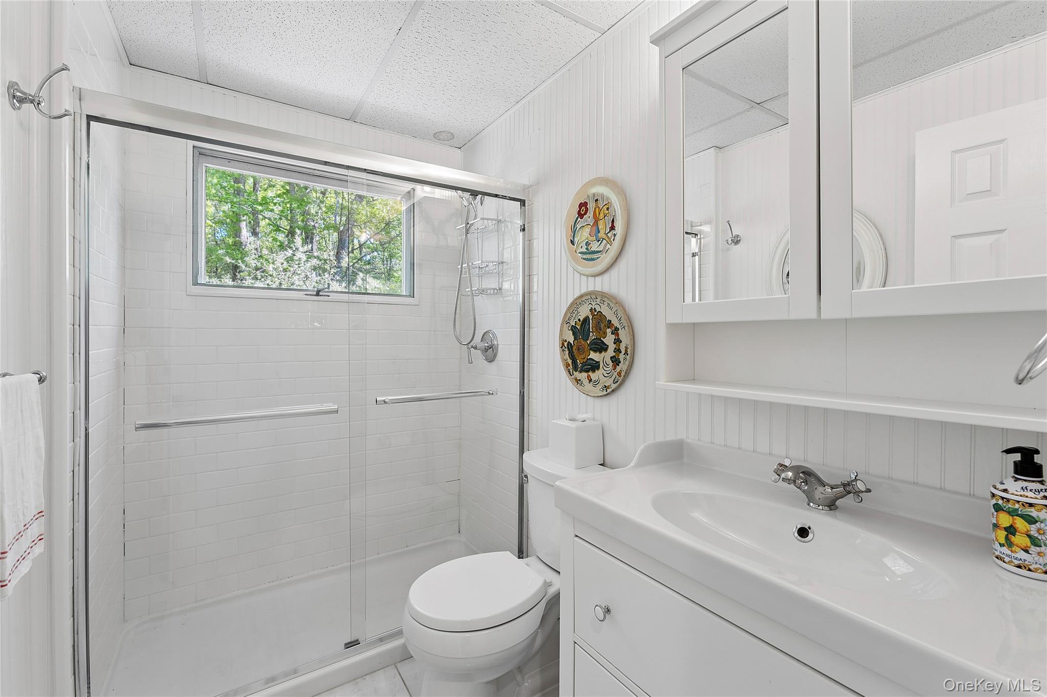 Single Family Lake View Ct  Suffolk County, NY 11968, MLS-1049133-17
