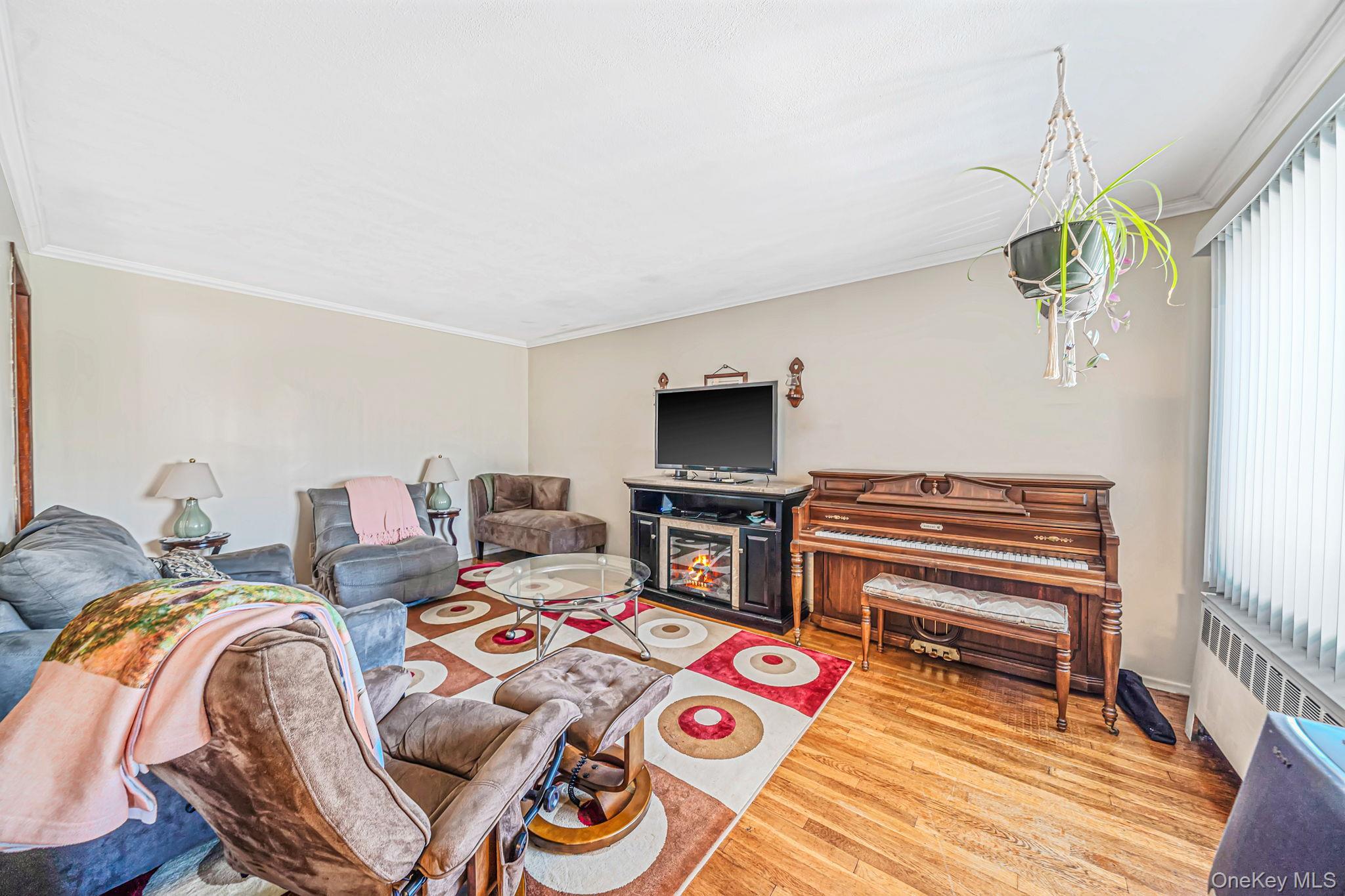 Single Family Holly Avenue  Nassau County, NY 11550, MLS-1049140-3