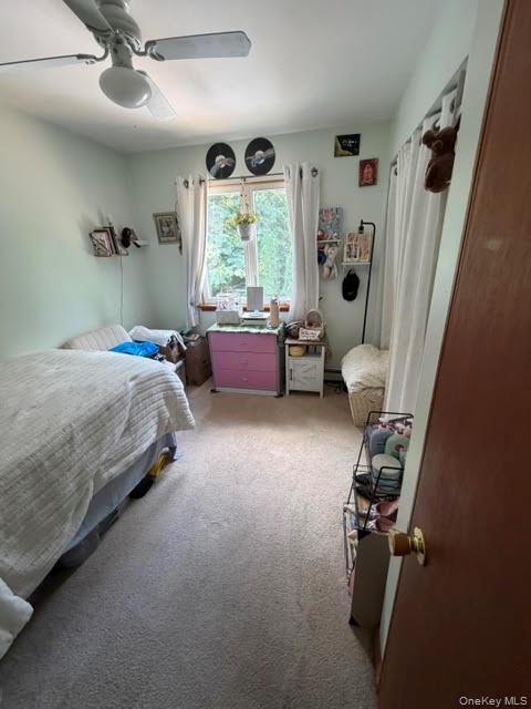 Single Family Hamlet Court  Dutchess County, NY 12590, MLS-1049169-24
