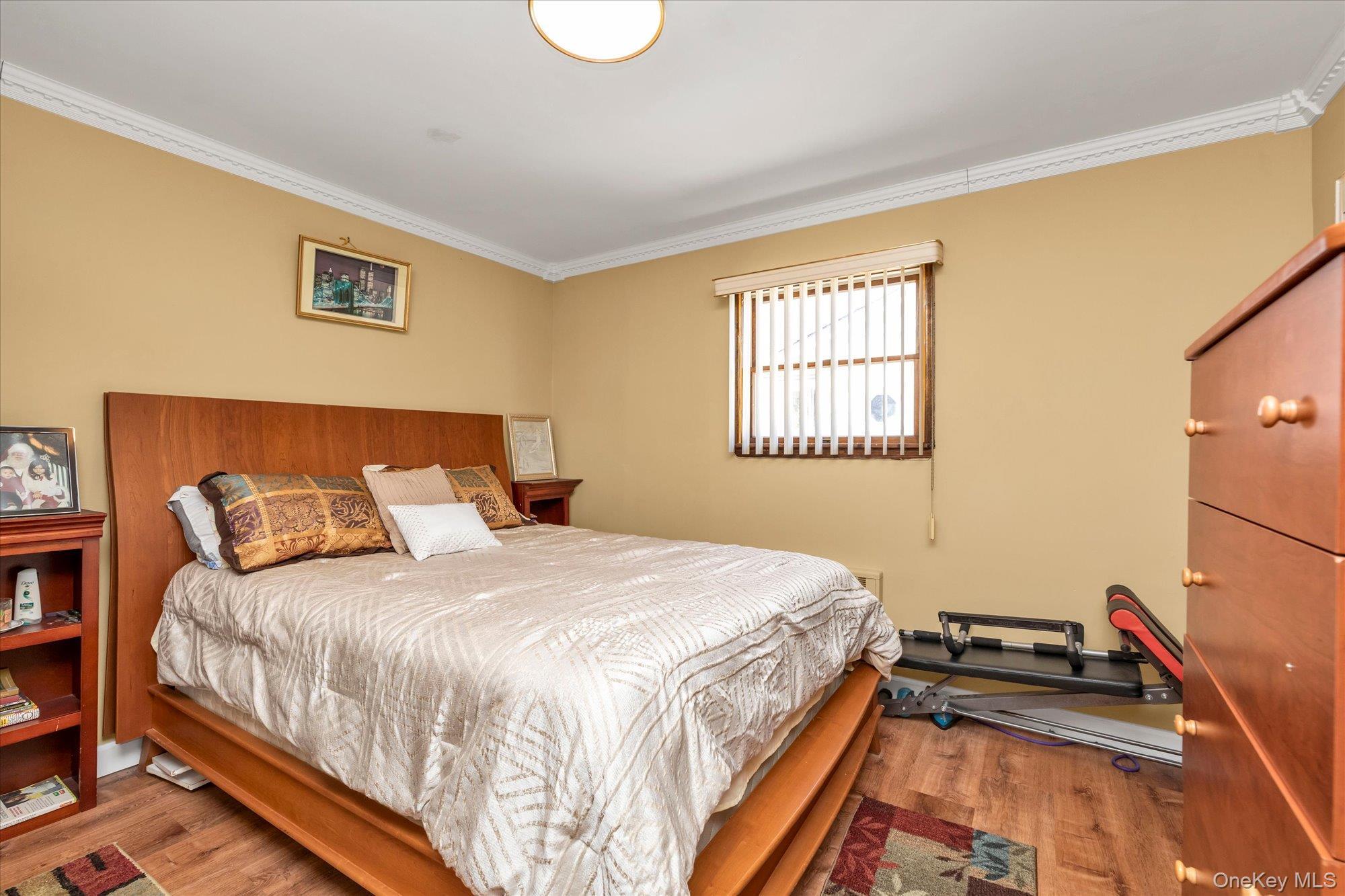 Single Family Hudson Avenue Nassau County, NY 11580, MLS-1049185-10