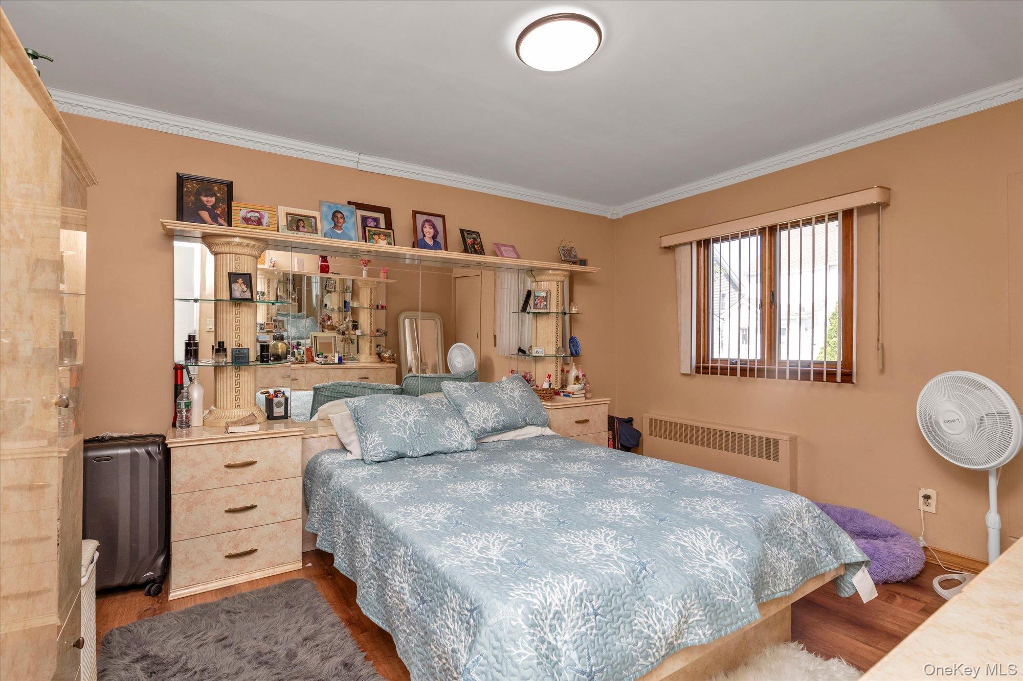 Single Family Hudson Avenue Nassau County, NY 11580, MLS-1049185-12