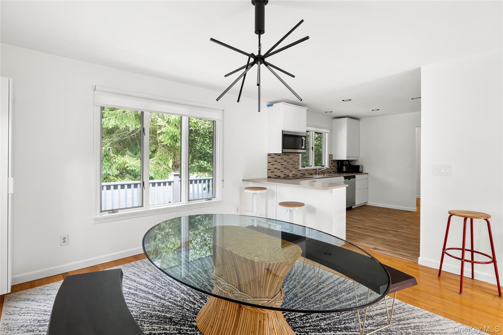 Single Family Montauk Highway  Suffolk County, NY 11968, MLS-1049213-10