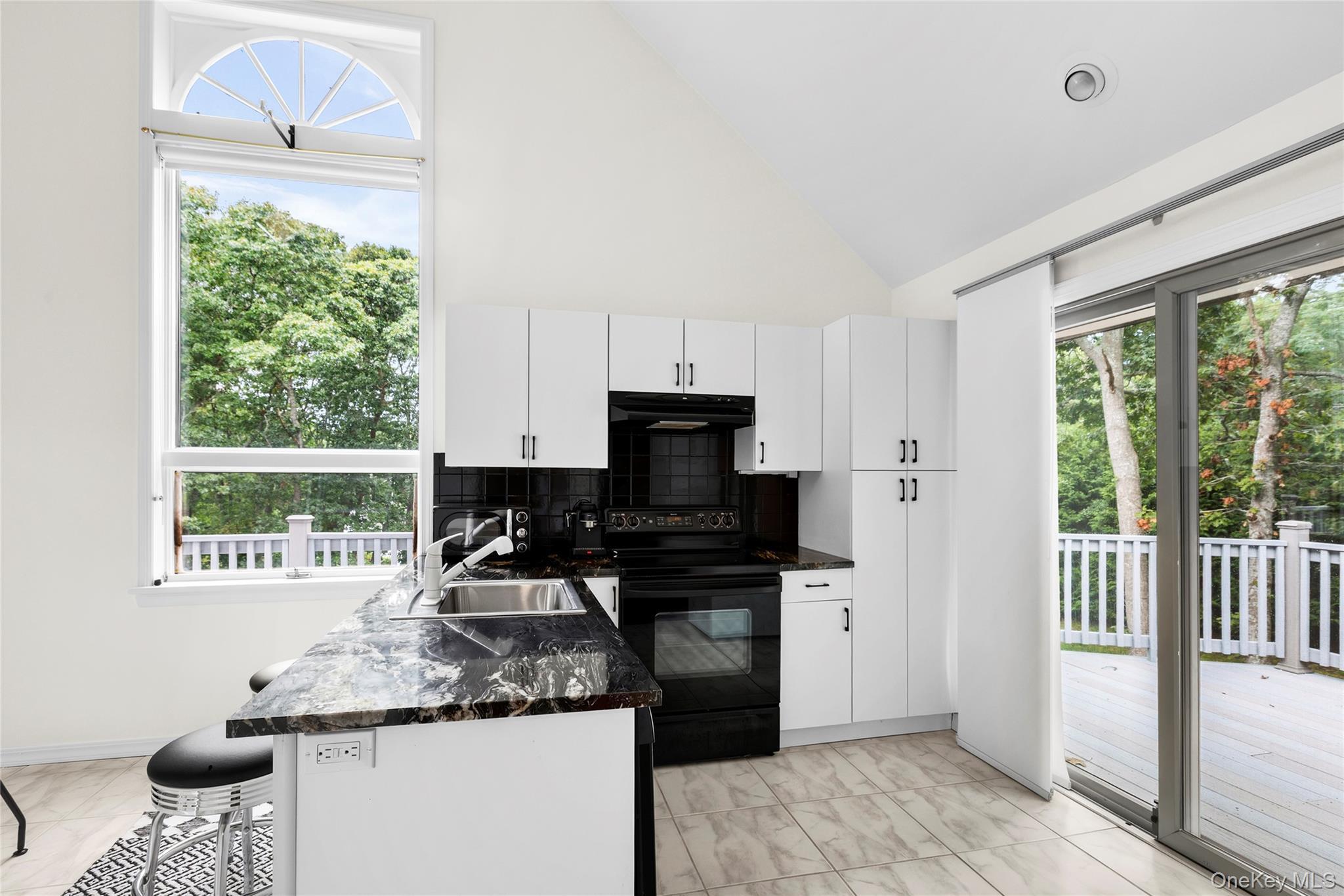 Single Family Montauk Highway  Suffolk County, NY 11968, MLS-1049213-17