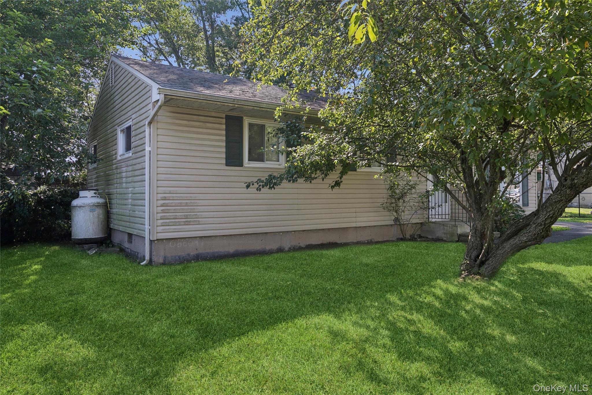 Single Family Connecticut Avenue  Suffolk County, NY 11763, MLS-1049216-18