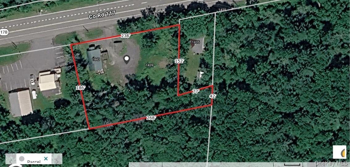 Single Family Rt-17b  Sullivan County, NY 12720, MLS-1049229-19