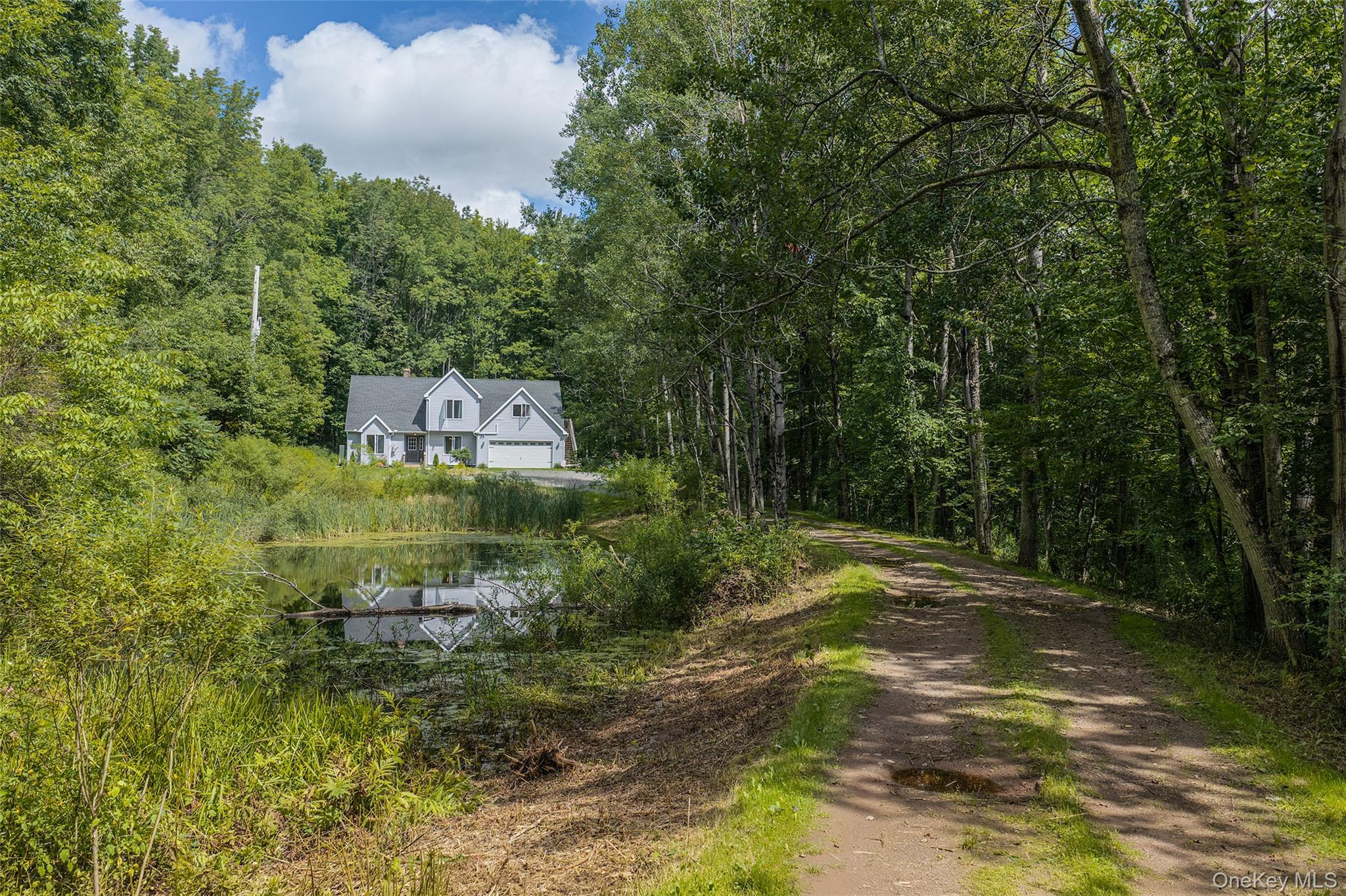 Single Family Rosa Circle  Delaware County, NY 13753, MLS-1049295-4