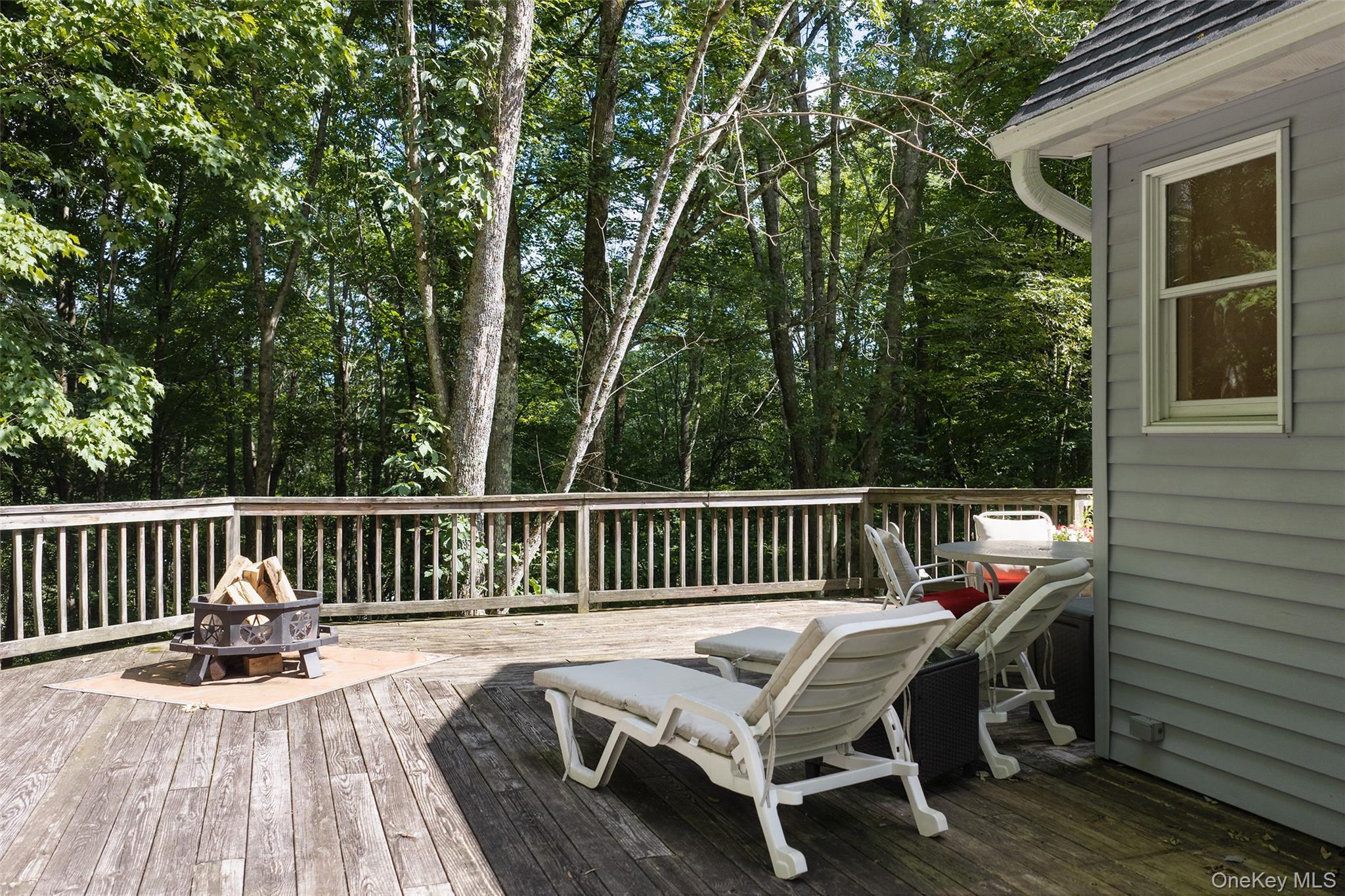 Single Family Rosa Circle  Delaware County, NY 13753, MLS-1049295-46