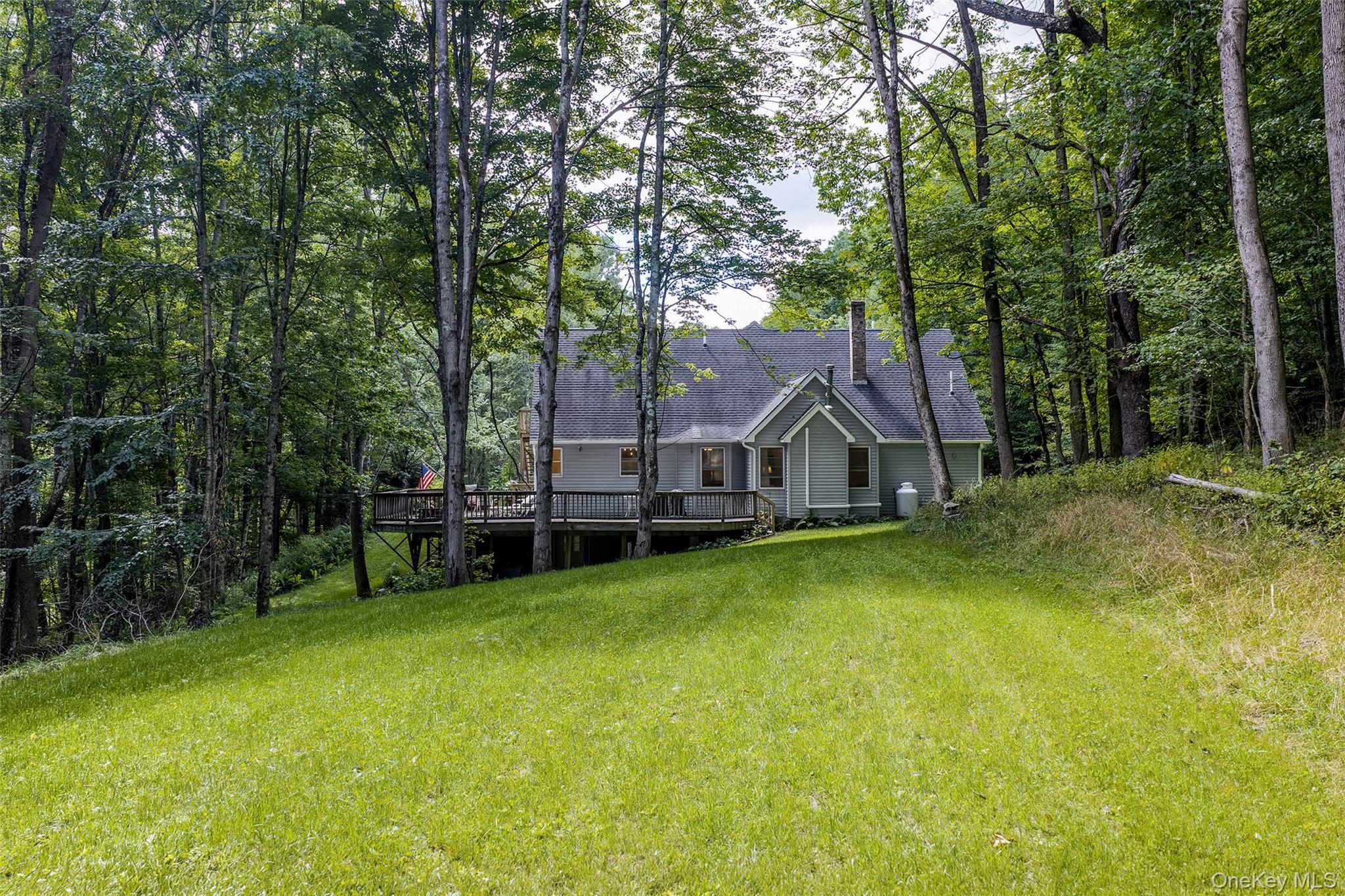Single Family Rosa Circle  Delaware County, NY 13753, MLS-1049295-6