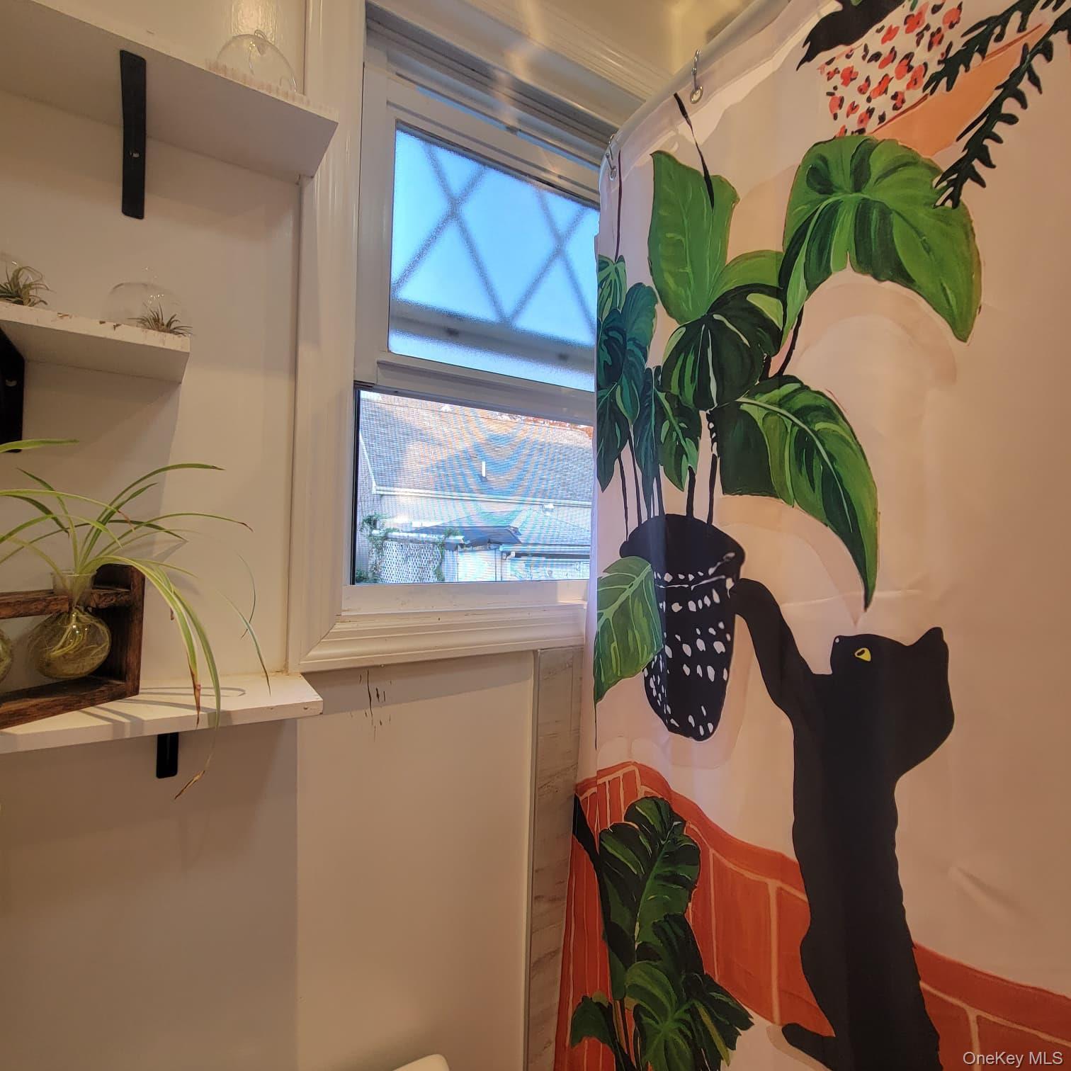 Single Family Graff Avenue Bronx, NY 10465, MLS-1049350-20