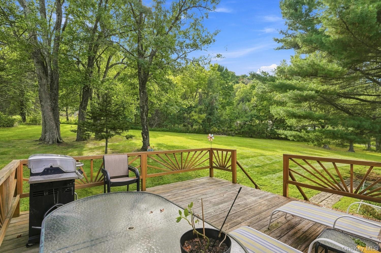 Single Family Newport Bridge Road  Orange County, NY 10969, MLS-1049369-19