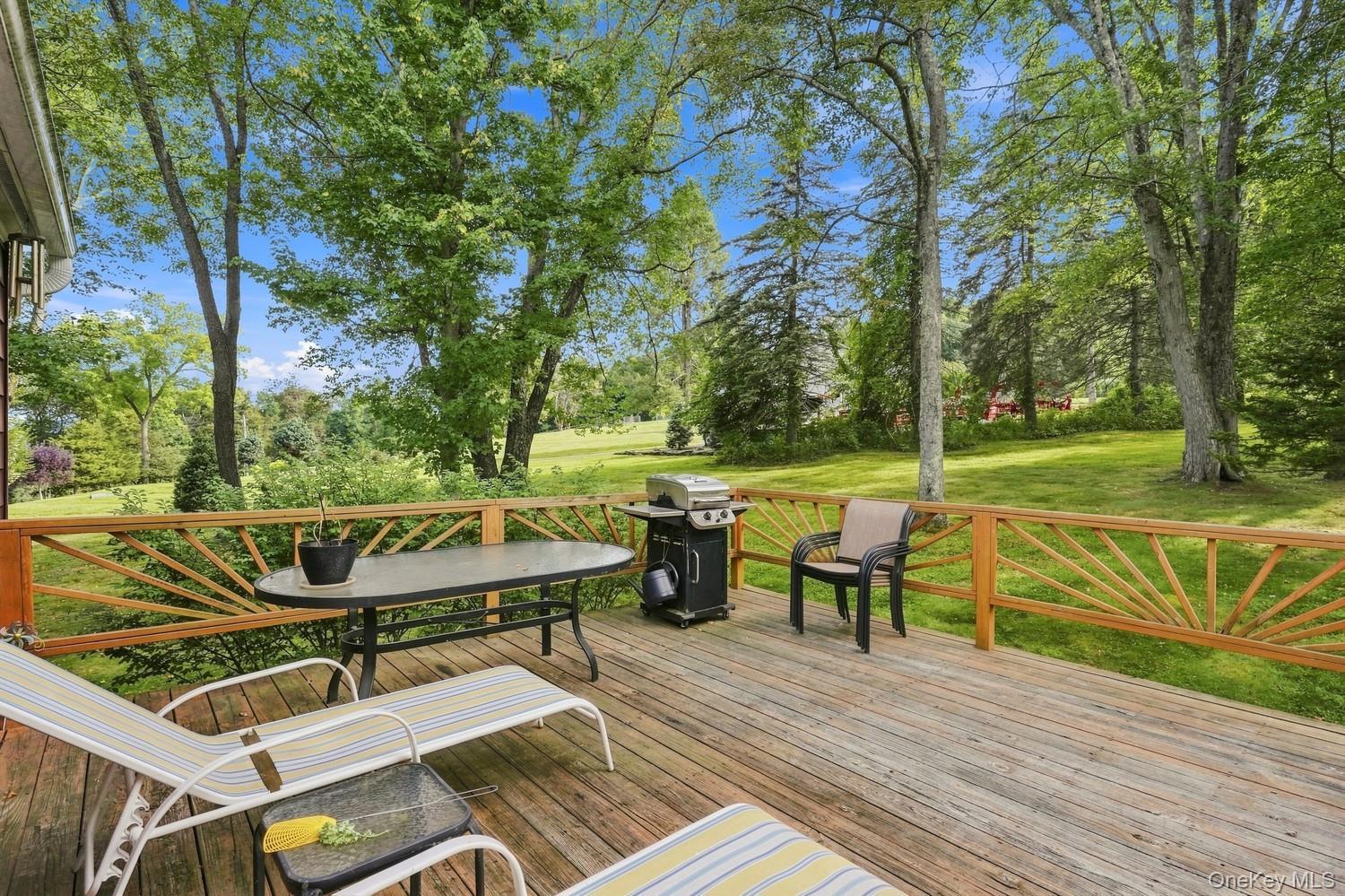 Single Family Newport Bridge Road  Orange County, NY 10969, MLS-1049369-20
