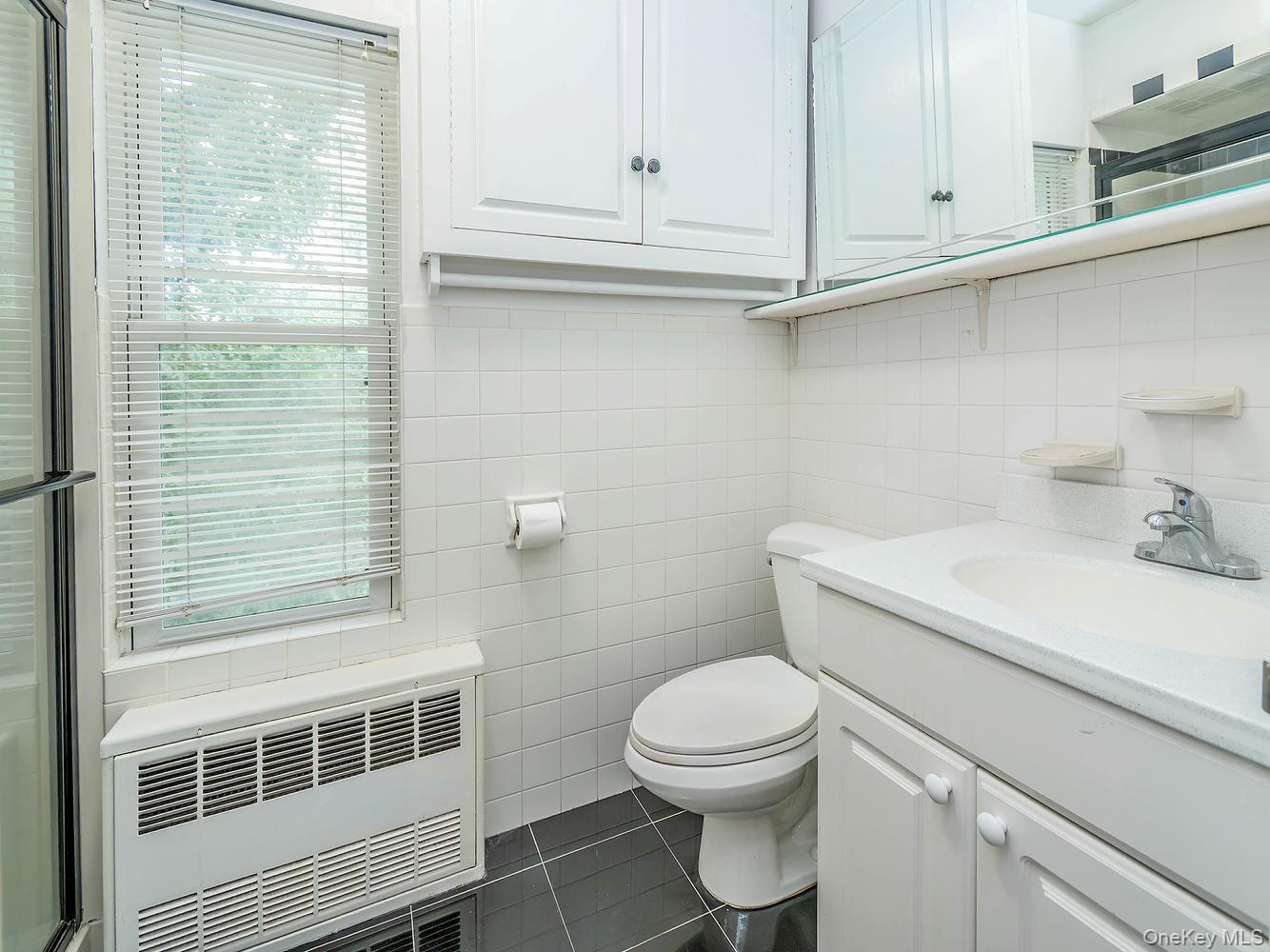 Single Family Prospect Avenue  Nassau County, NY 11579, MLS-1049376-21