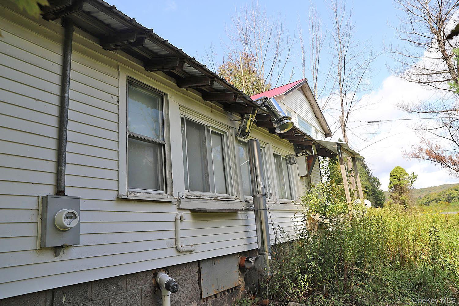Single Family Klondike Road Delaware County, NY 12760, MLS-1049387-14