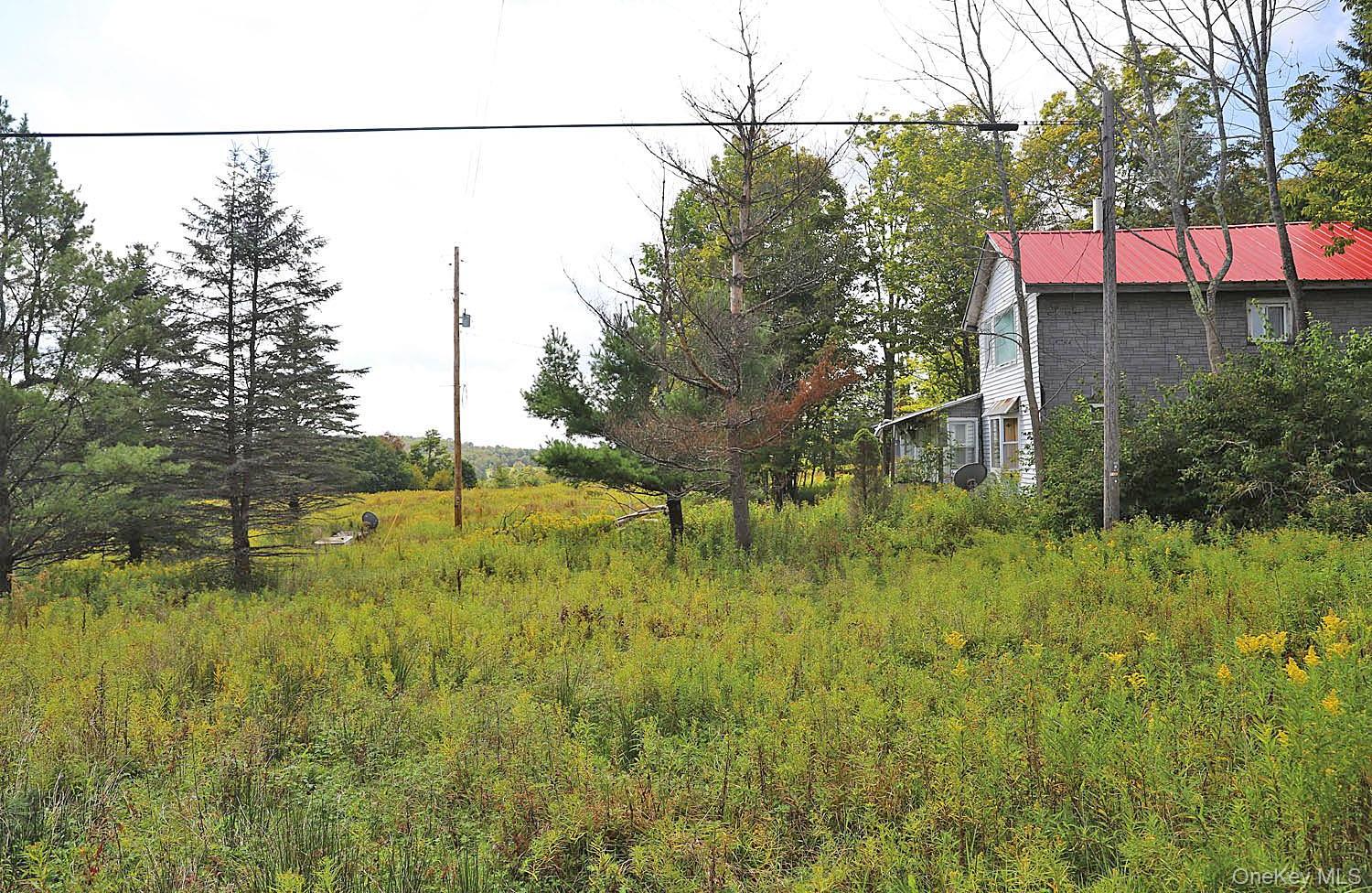 Single Family Klondike Road Delaware County, NY 12760, MLS-1049387-25