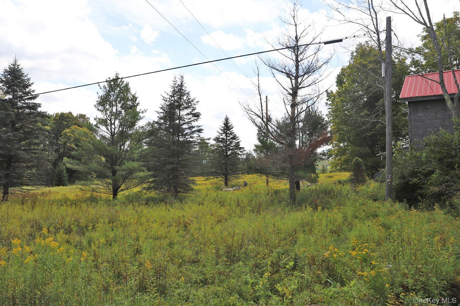 Single Family Klondike Road Delaware County, NY 12760, MLS-1049387-26