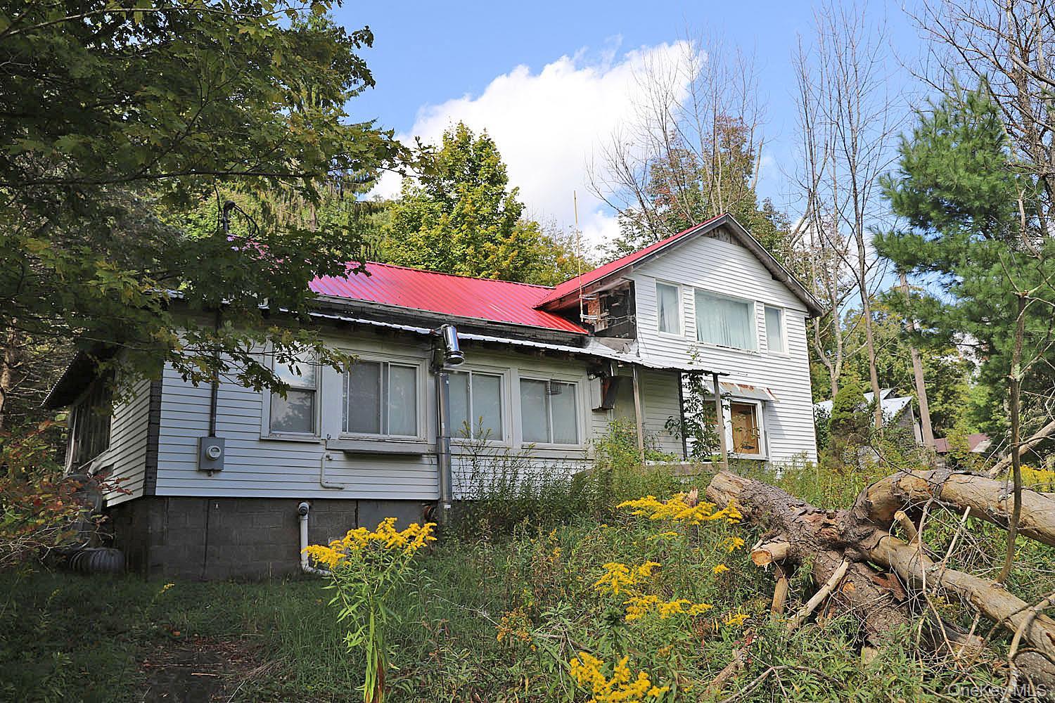 Single Family Klondike Road Delaware County, NY 12760, MLS-1049387-3
