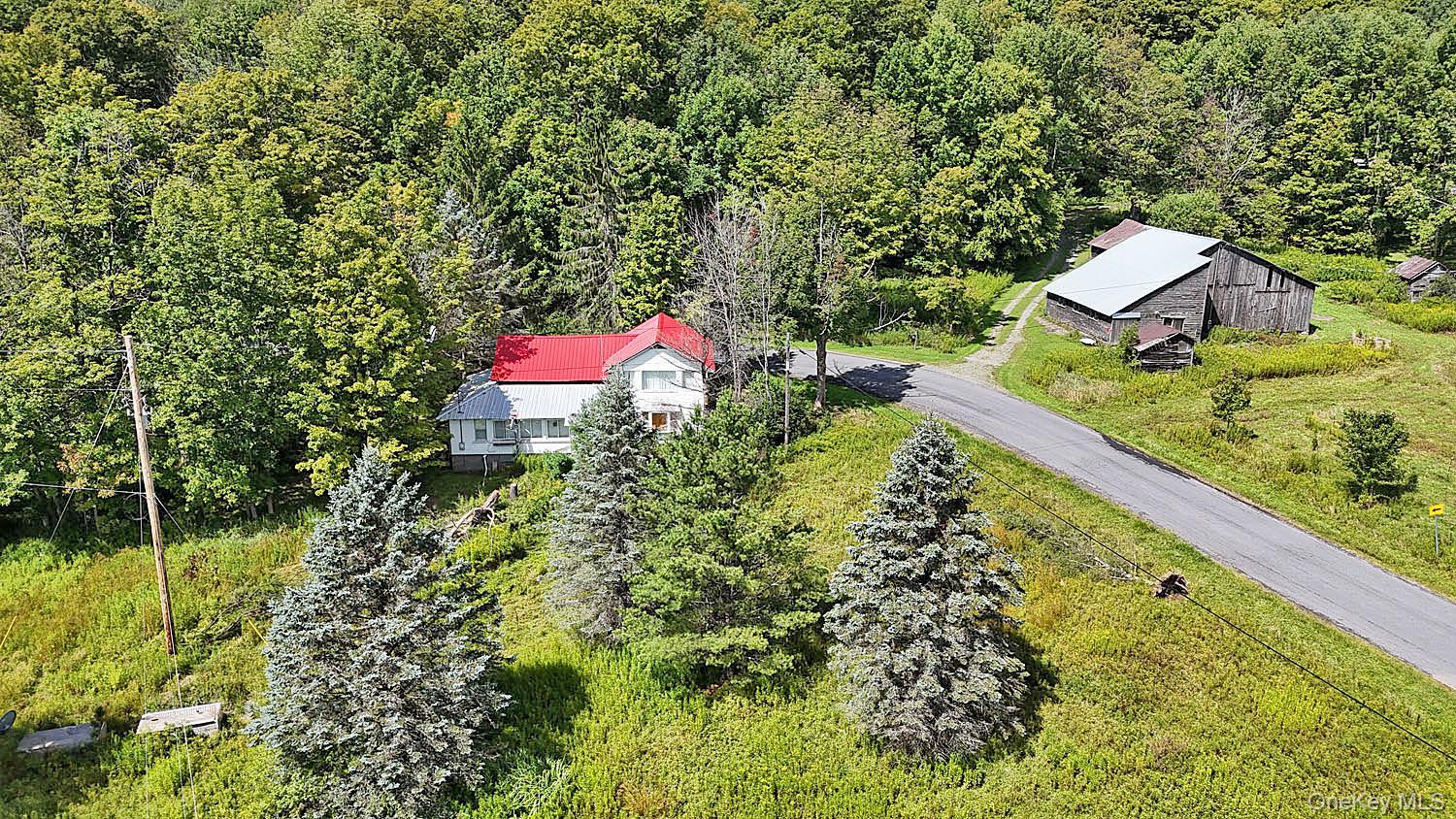 Single Family Klondike Road Delaware County, NY 12760, MLS-1049387-4