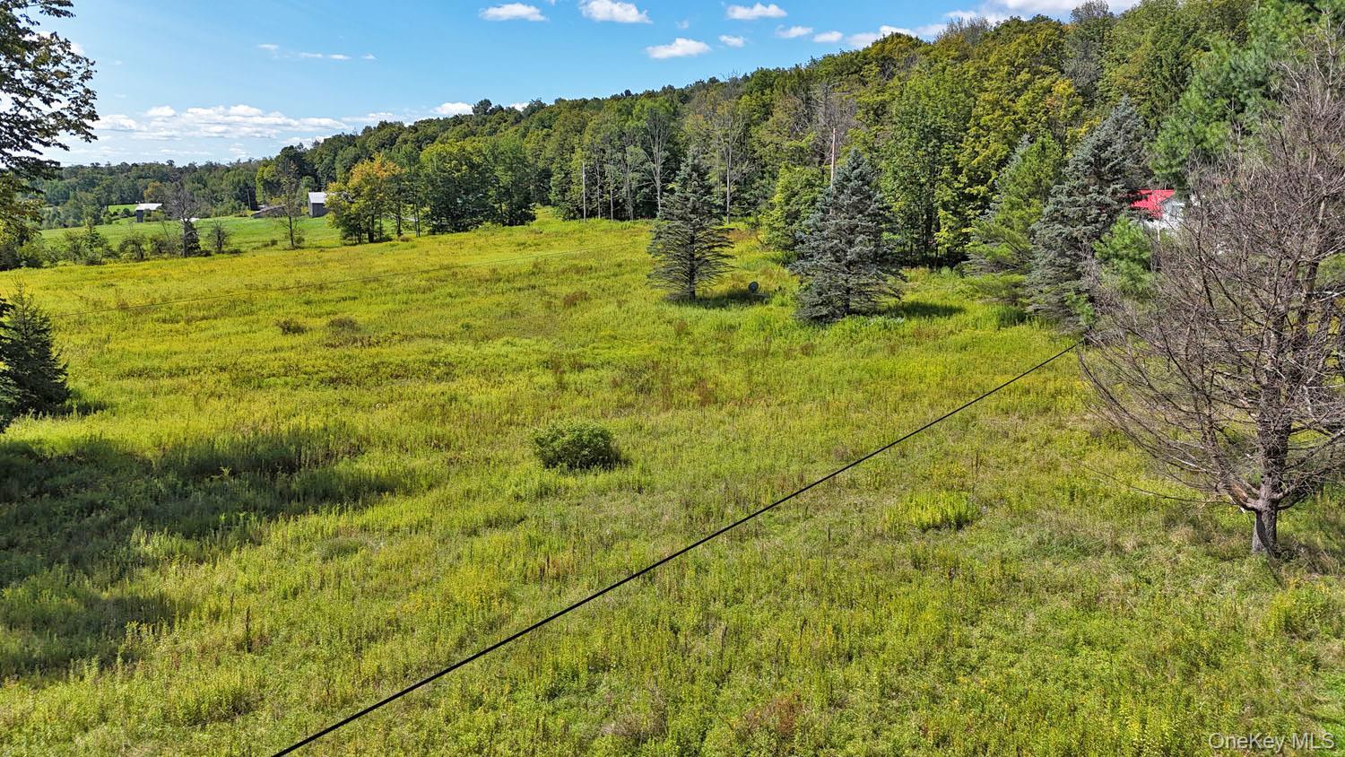 Single Family Klondike Road Delaware County, NY 12760, MLS-1049387-5