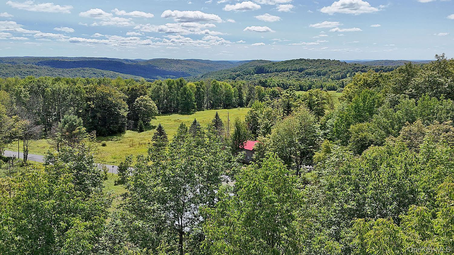 Single Family Klondike Road Delaware County, NY 12760, MLS-1049387-7