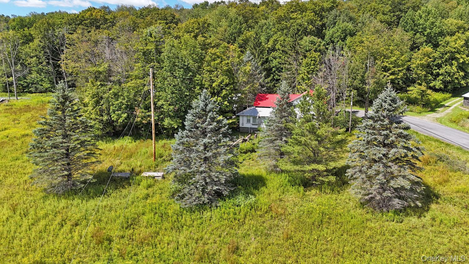 Single Family Klondike Road Delaware County, NY 12760, MLS-1049387-8