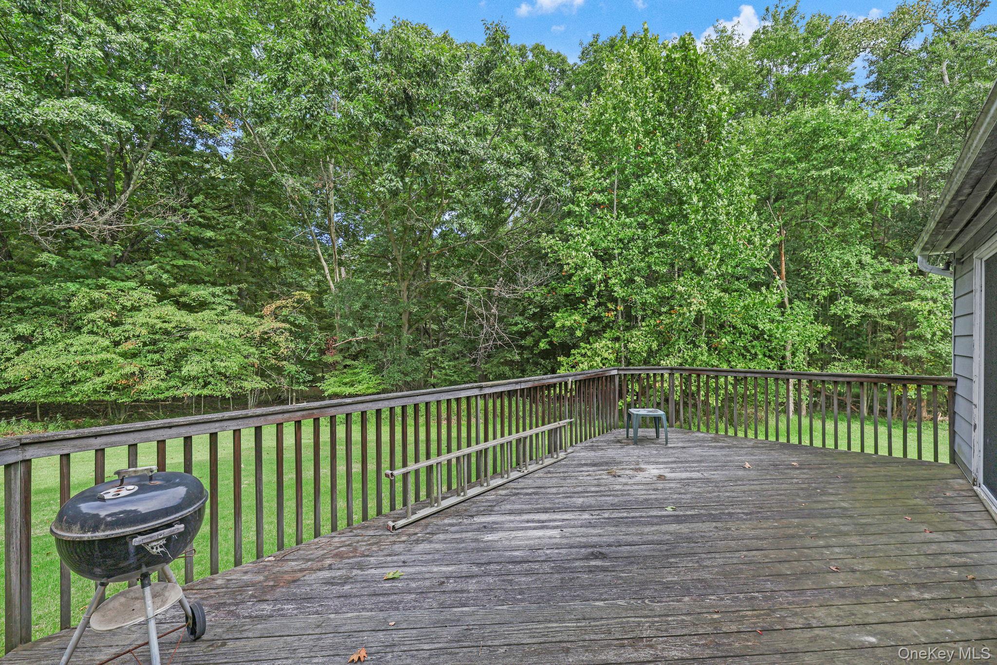 Single Family Wallkill Avenue Orange County, NY 12589, MLS-1049440-9