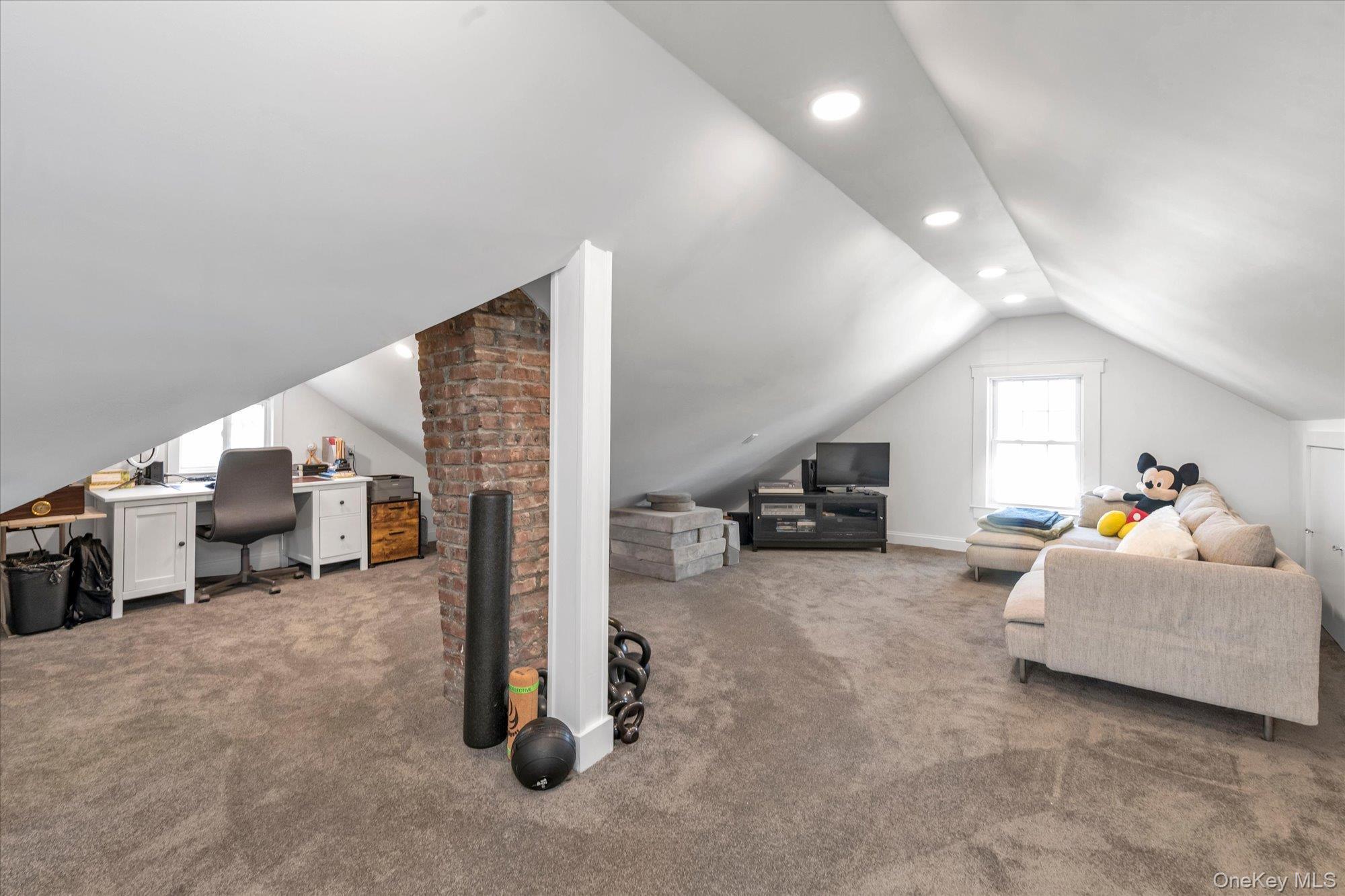 Single Family Adams Street Nassau County, NY 11518, MLS-1049460-19
