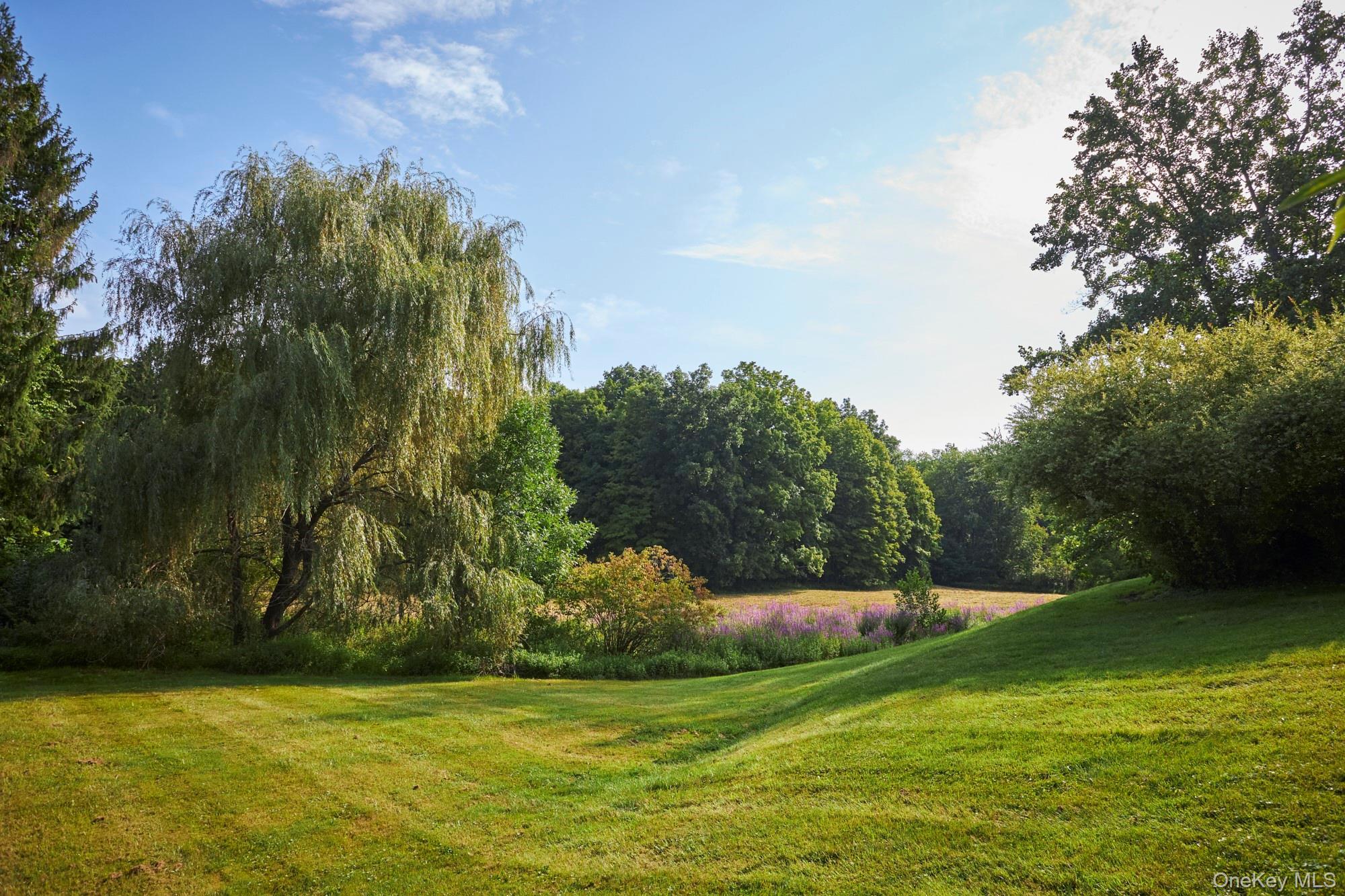 Single Family Spring Lake Road Dutchess County, NY 12571, MLS-1049518-35