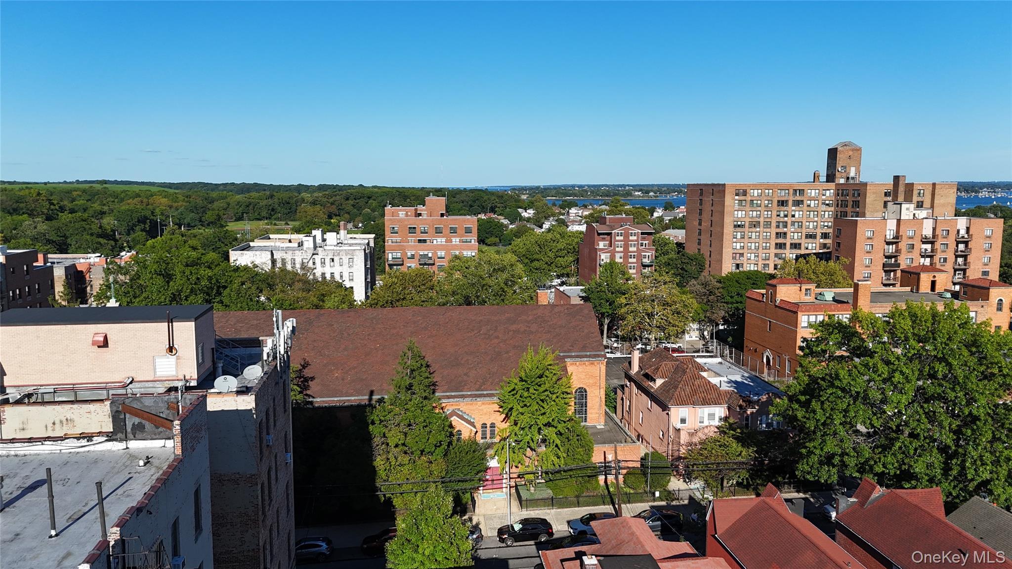Single Family Jarvis Avenue Bronx, NY 10461, MLS-1049519-36