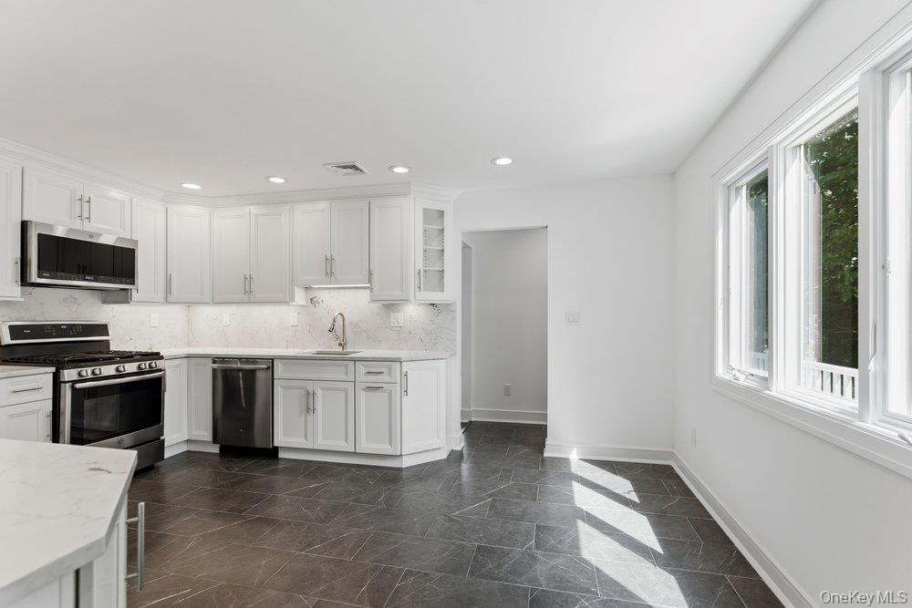 Single Family Harvard Drive Nassau County, NY 11803, MLS-1049525-15