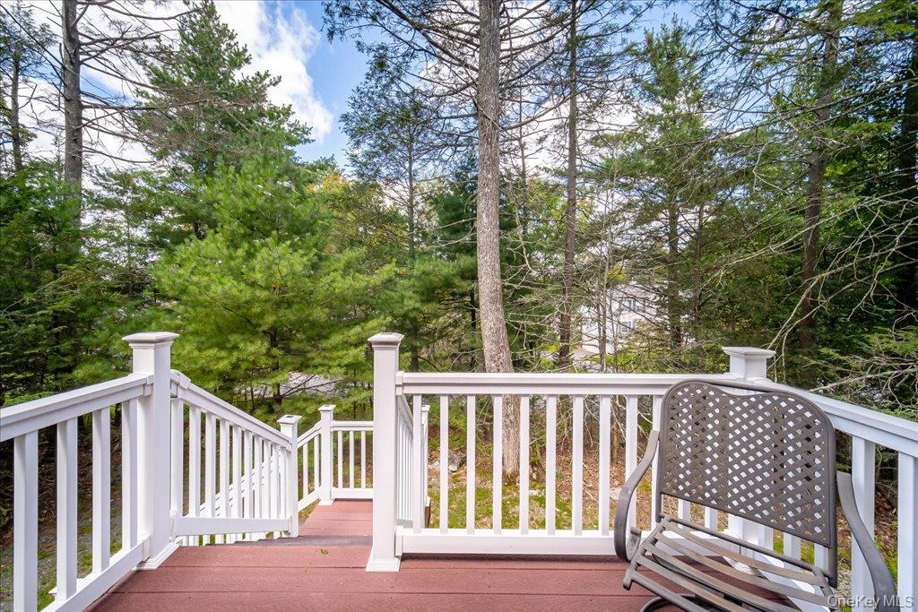 Single Family N Emerald Drive  Sullivan County, NY 12775, MLS-1049558-10