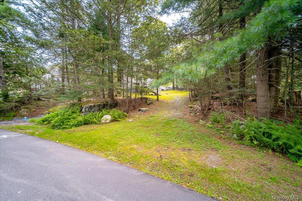 Single Family N Emerald Drive  Sullivan County, NY 12775, MLS-1049558-42