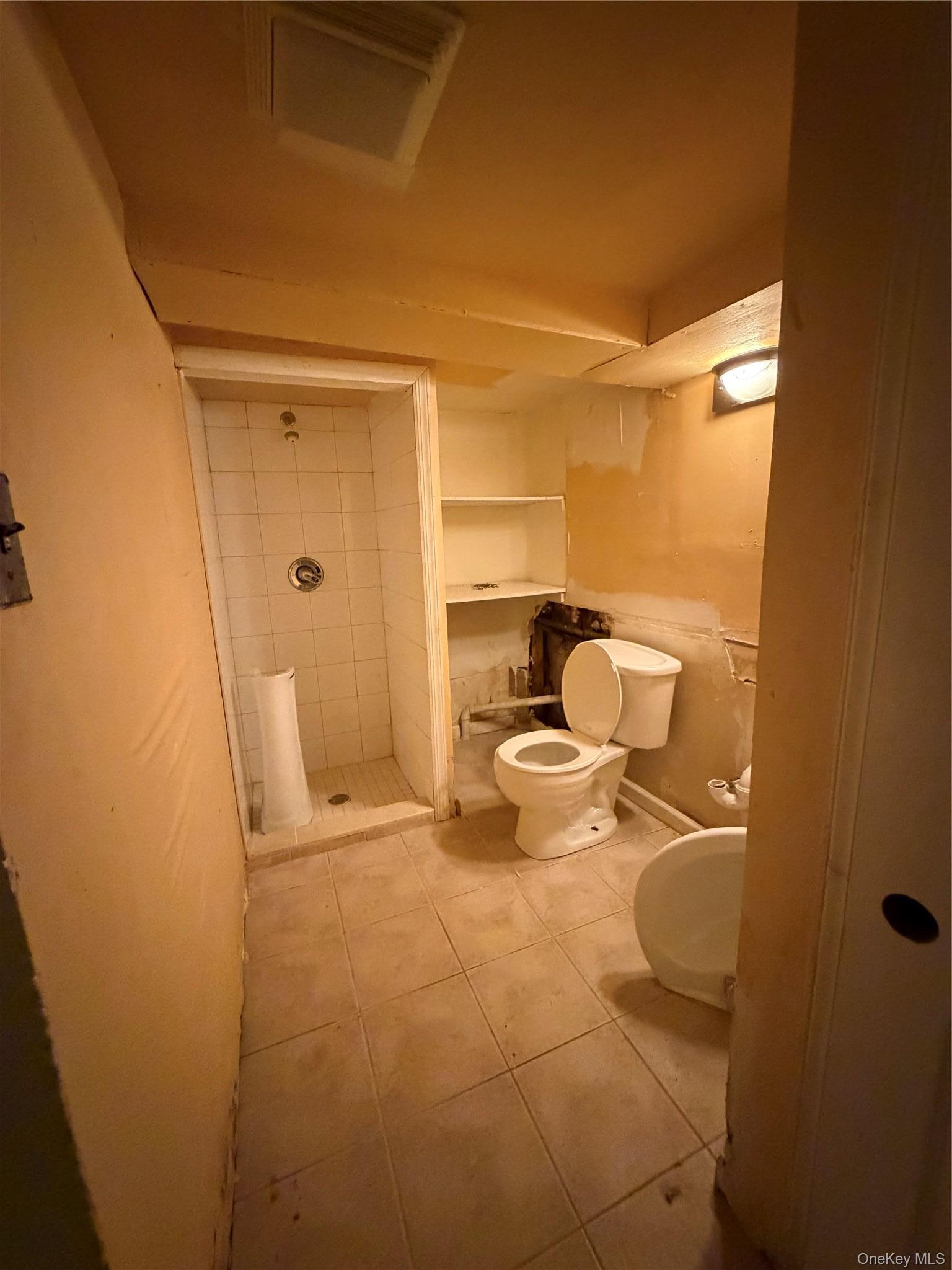 Single Family Park Avenue Nassau County, NY 11552, MLS-1049561-25