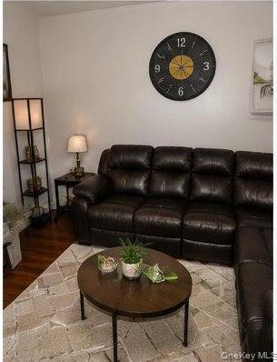 Single Family E 96th Street  Brooklyn, NY 11236, MLS-1049599-16