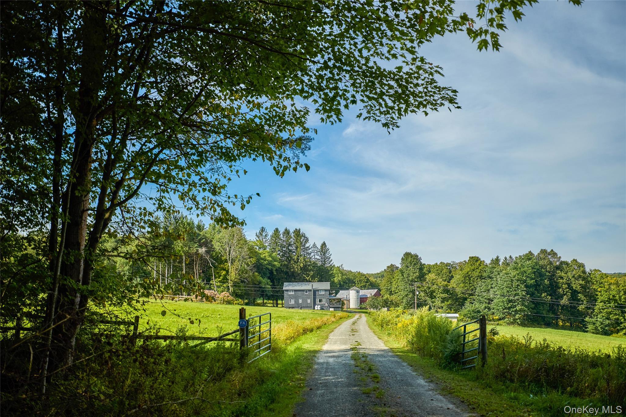 Single Family Weiss Road  Sullivan County, NY 12776, MLS-1049647-2