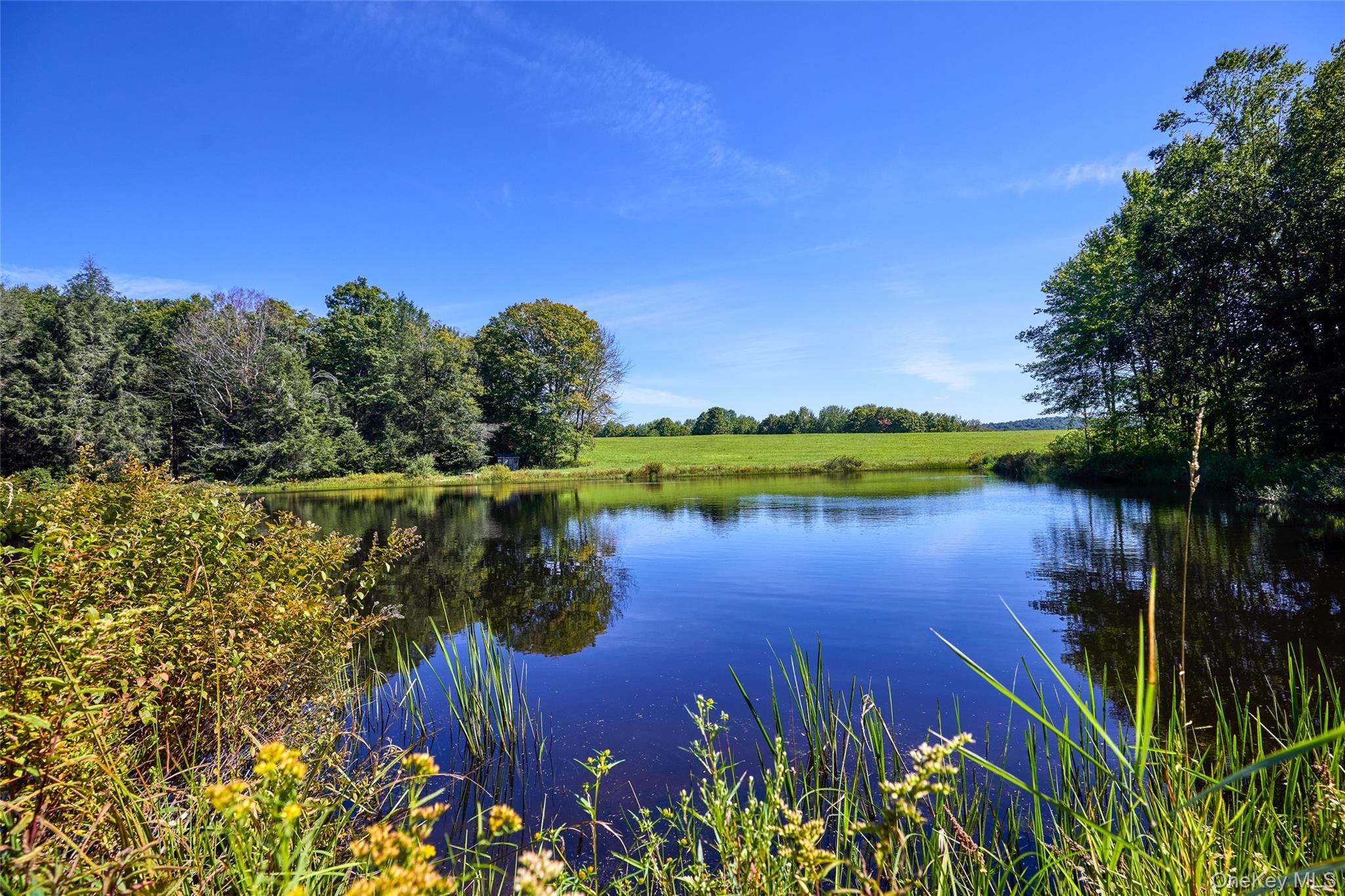 Single Family Weiss Road  Sullivan County, NY 12776, MLS-1049647-28
