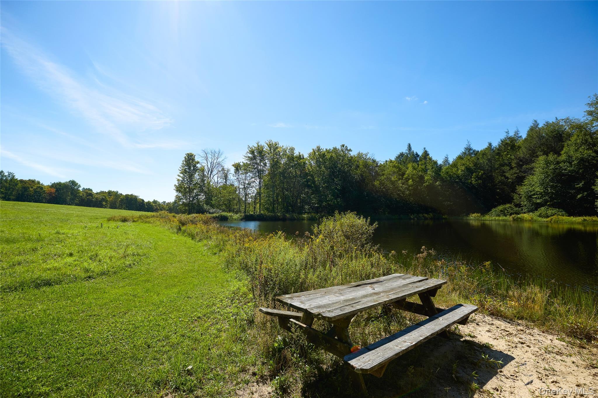 Single Family Weiss Road  Sullivan County, NY 12776, MLS-1049647-30