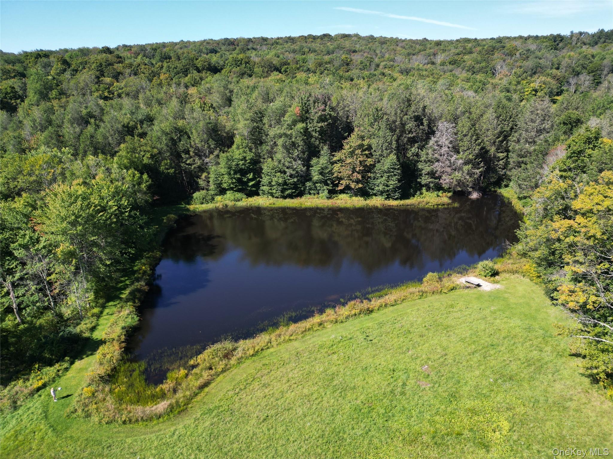 Single Family Weiss Road  Sullivan County, NY 12776, MLS-1049647-31