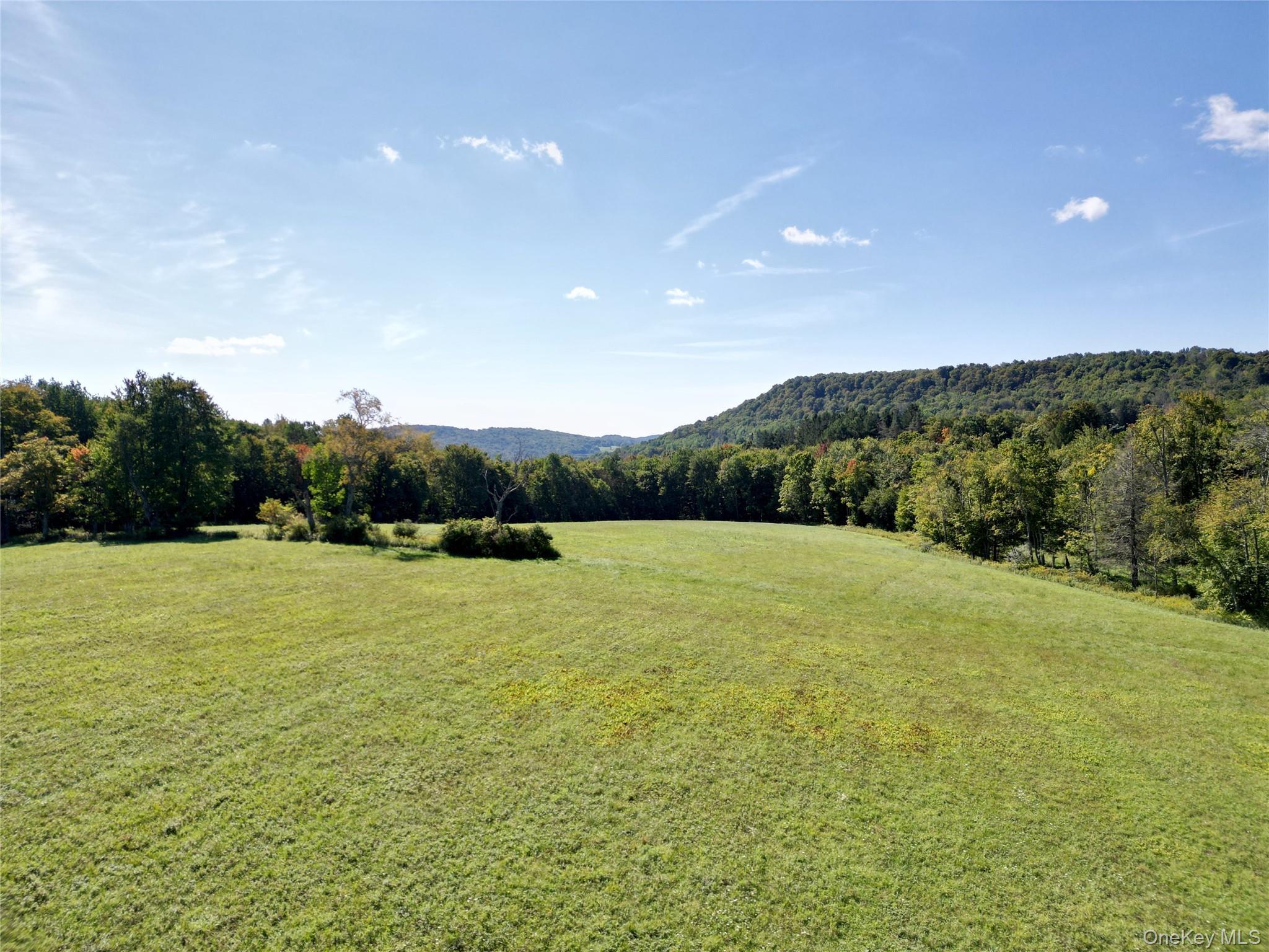 Single Family Weiss Road  Sullivan County, NY 12776, MLS-1049647-32