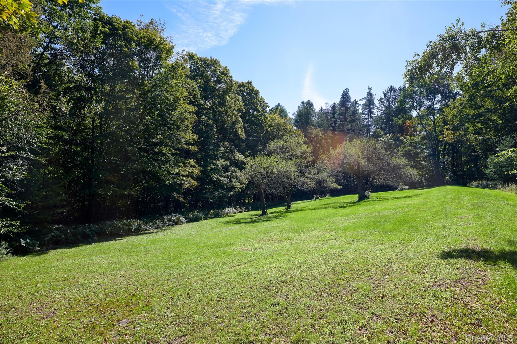 Single Family Weiss Road  Sullivan County, NY 12776, MLS-1049647-33