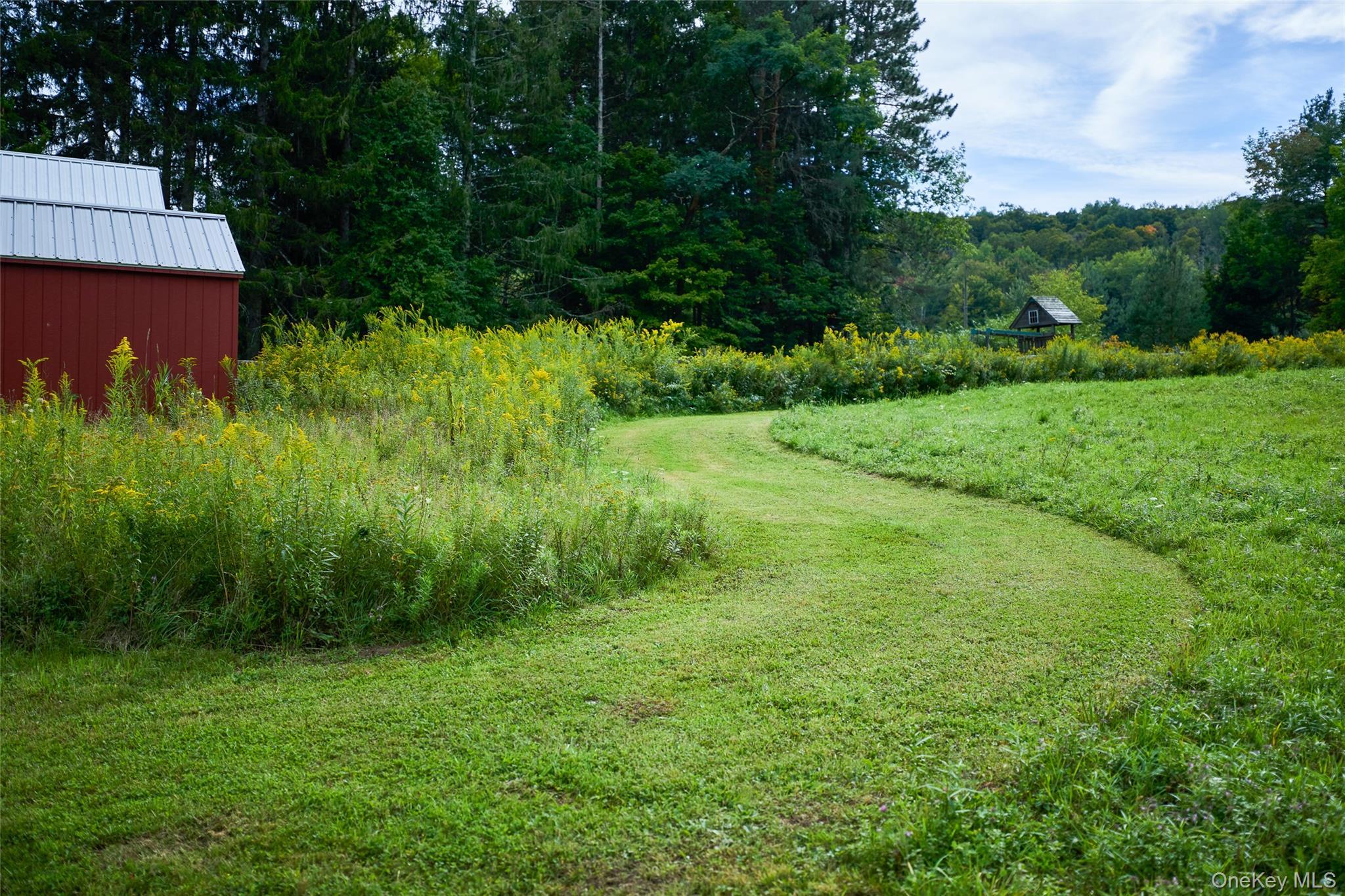 Single Family Weiss Road  Sullivan County, NY 12776, MLS-1049647-41
