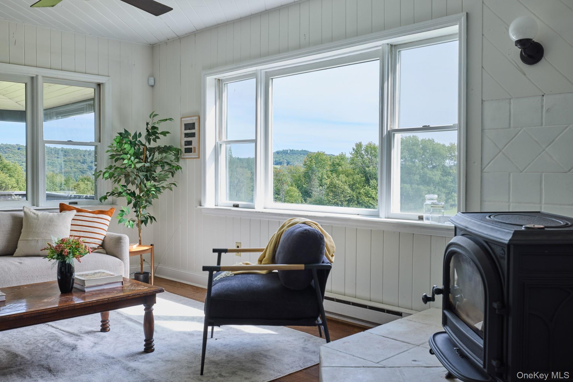 Single Family Weiss Road  Sullivan County, NY 12776, MLS-1049647-6