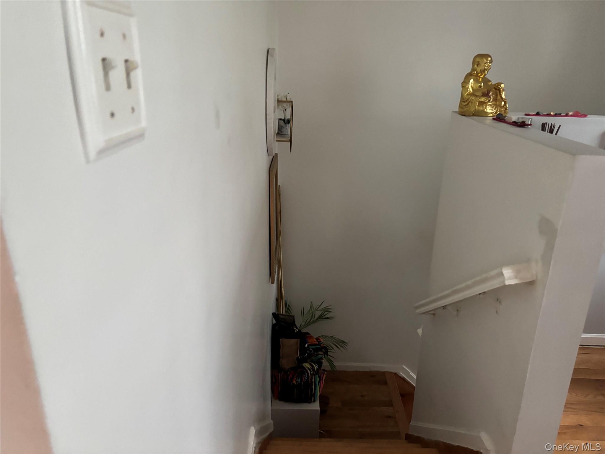 Single Family 123 Street Queens, NY 11420, MLS-1049689-13