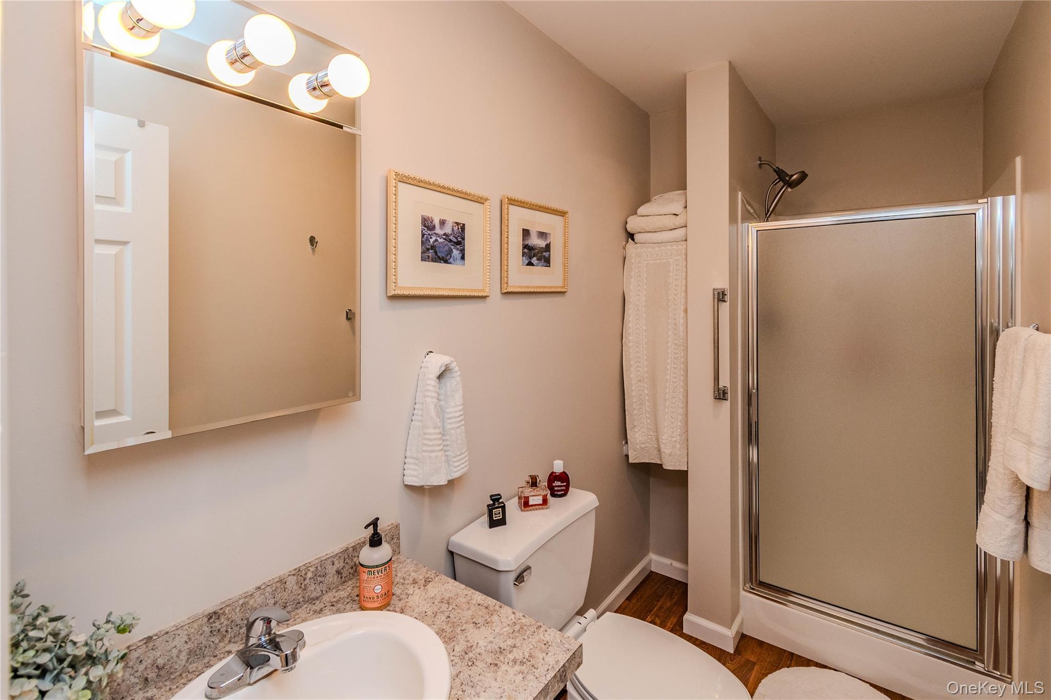 Single Family Meadowbrook Drive Ulster County, NY 12401, MLS-1049696-13