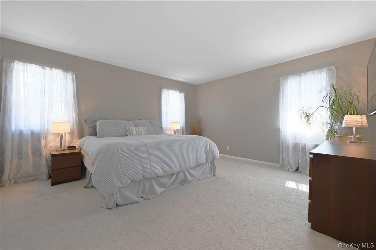 Single Family Maplewood Lane Nassau County, NY 11576, MLS-1049716-12
