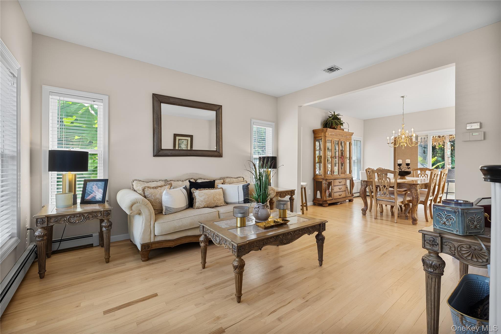Single Family Millennium Court Suffolk County, NY 11716, MLS-1049792-10